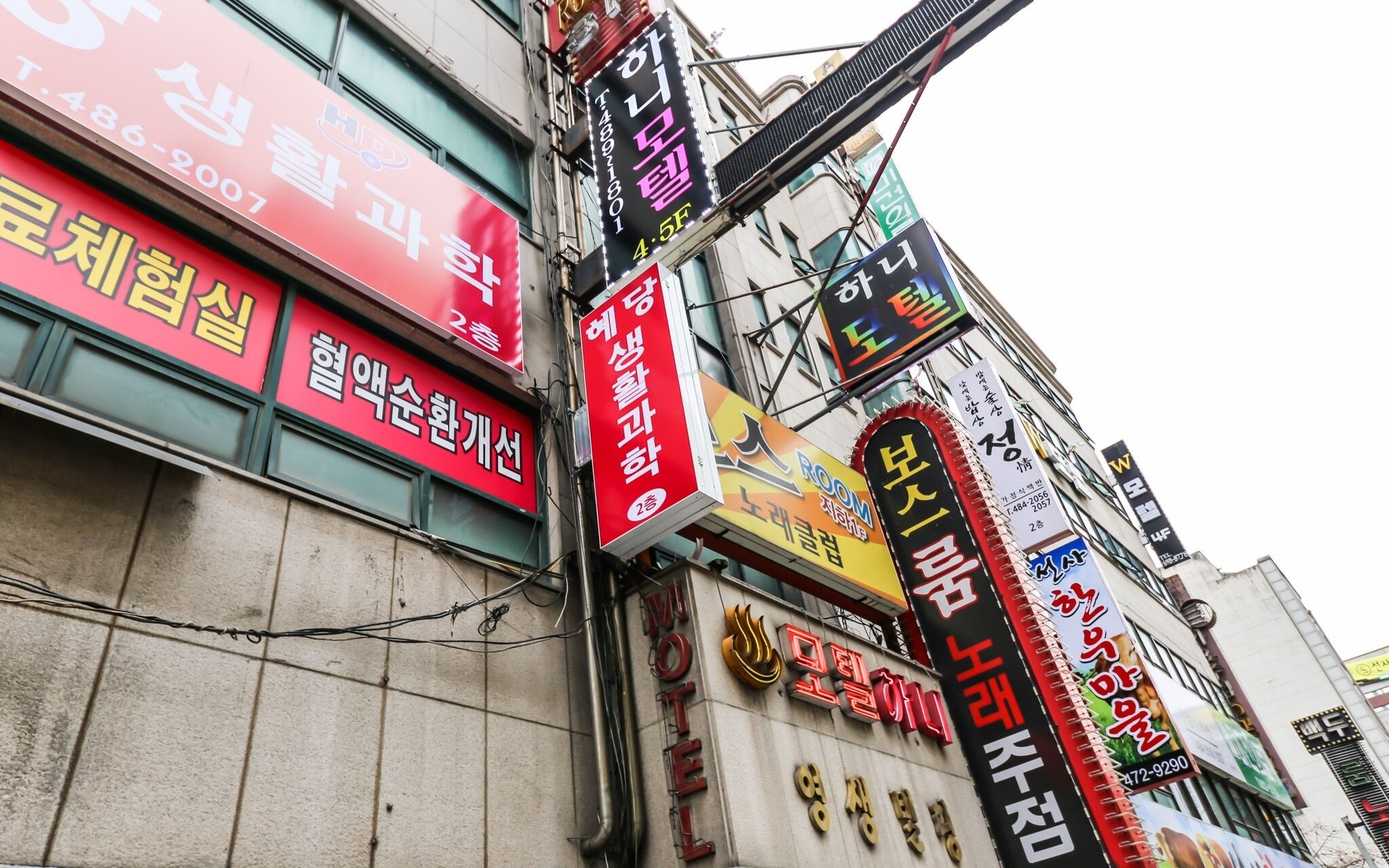 Daejeon Wolpyeong Honey