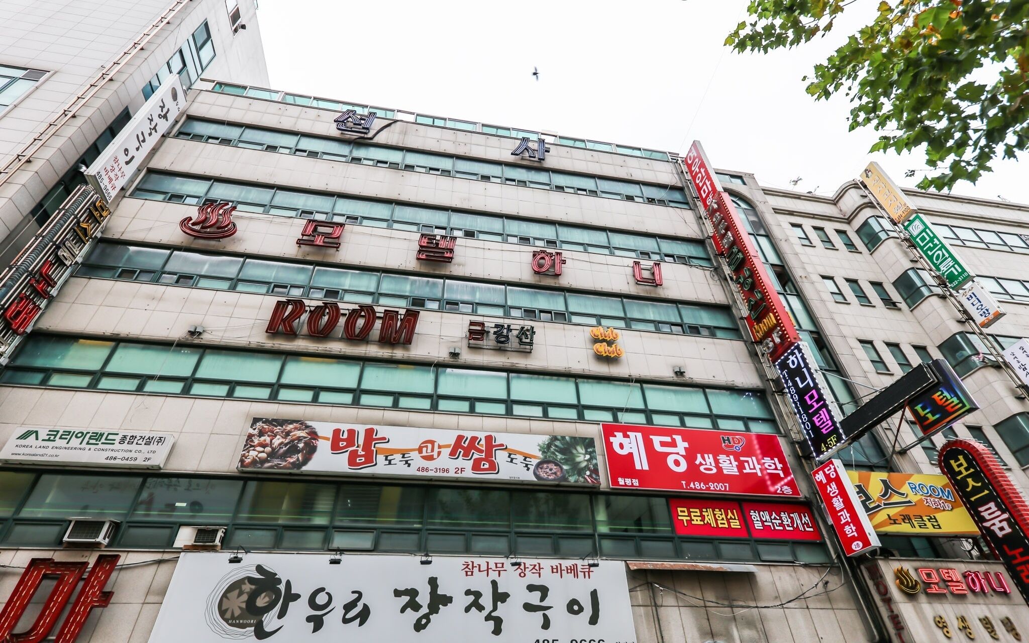 Daejeon Wolpyeong Honey