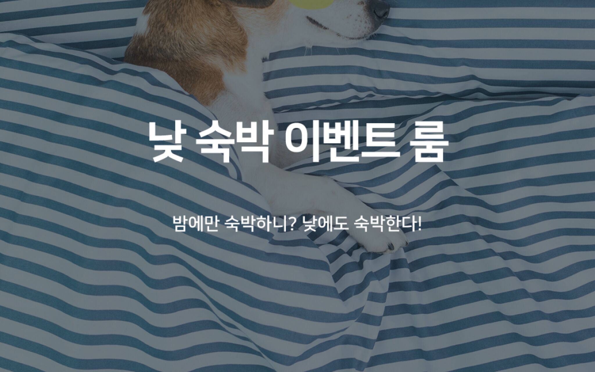 Gimhae Samgye Hotel Gain