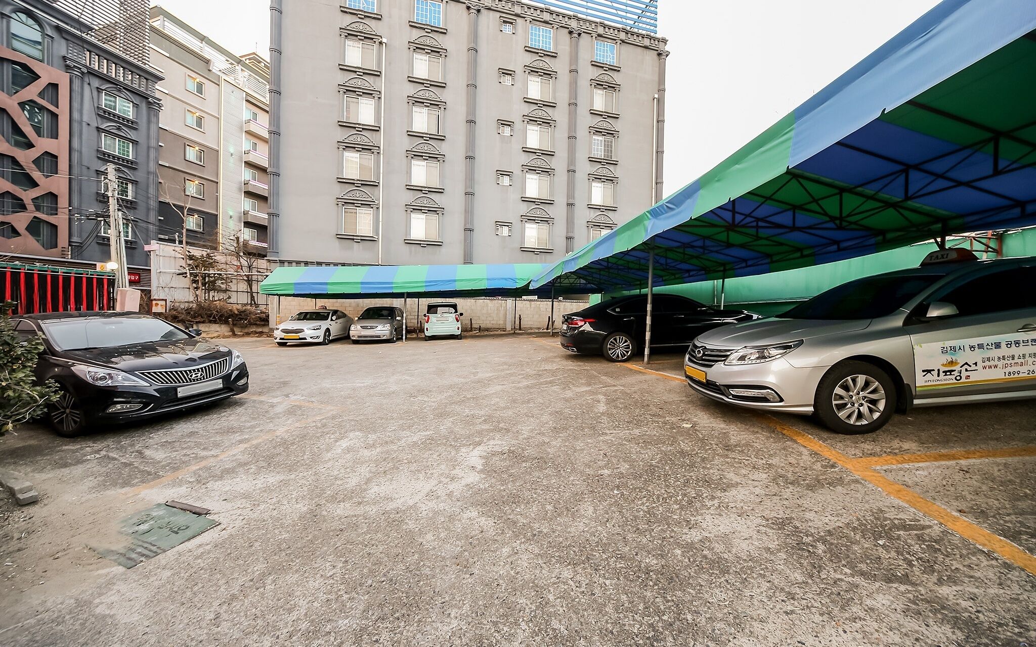 Gumi Bonggokdong Cello