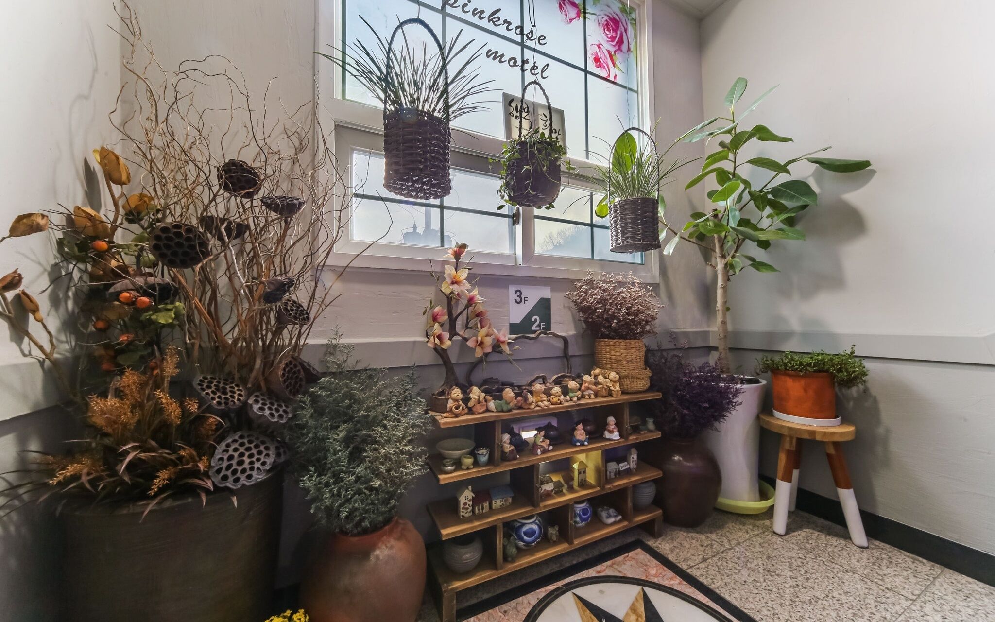 Gumi Geumosan Pink Rose