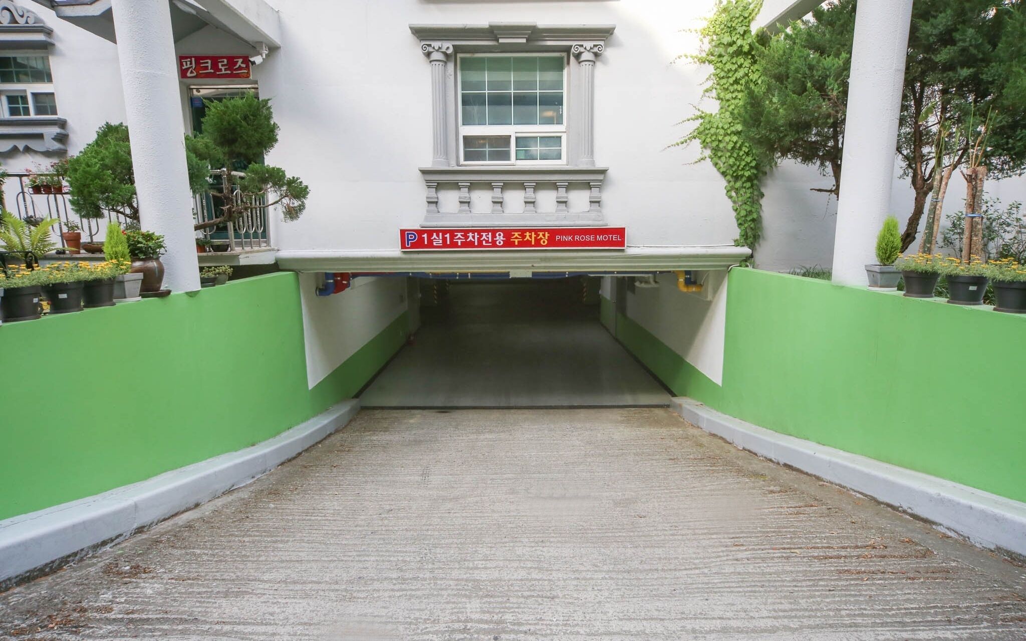 Gumi Geumosan Pink Rose