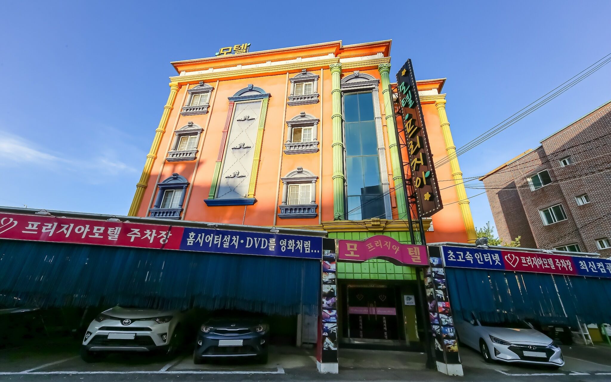 Gumi Wonpyeong Freesia