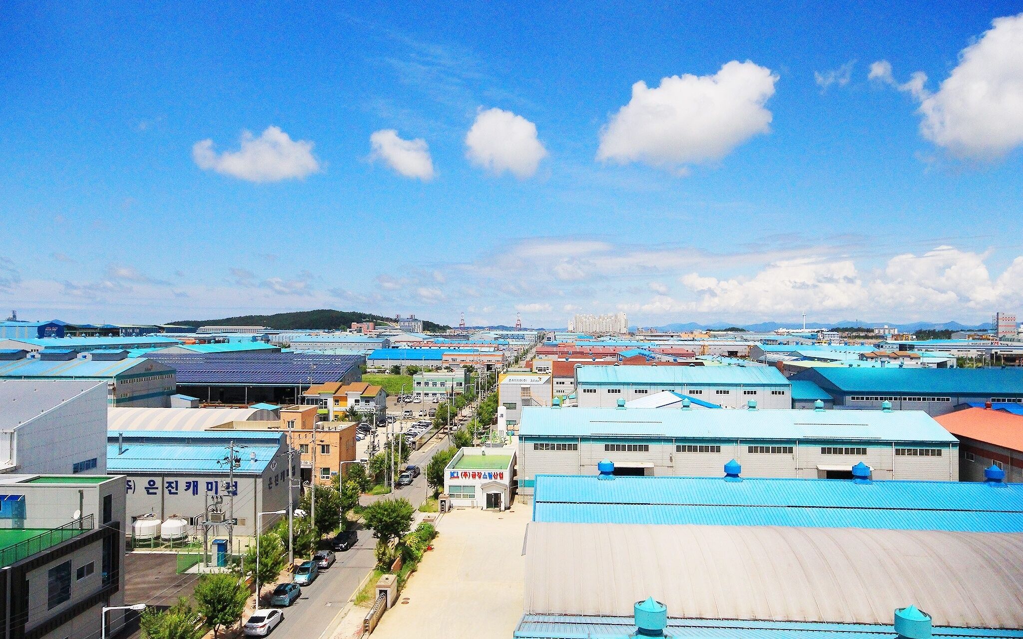 Gunsan Haru