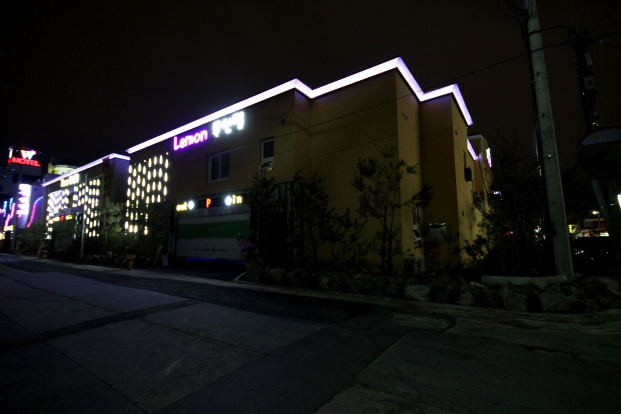 Gunsan Lemon Tree