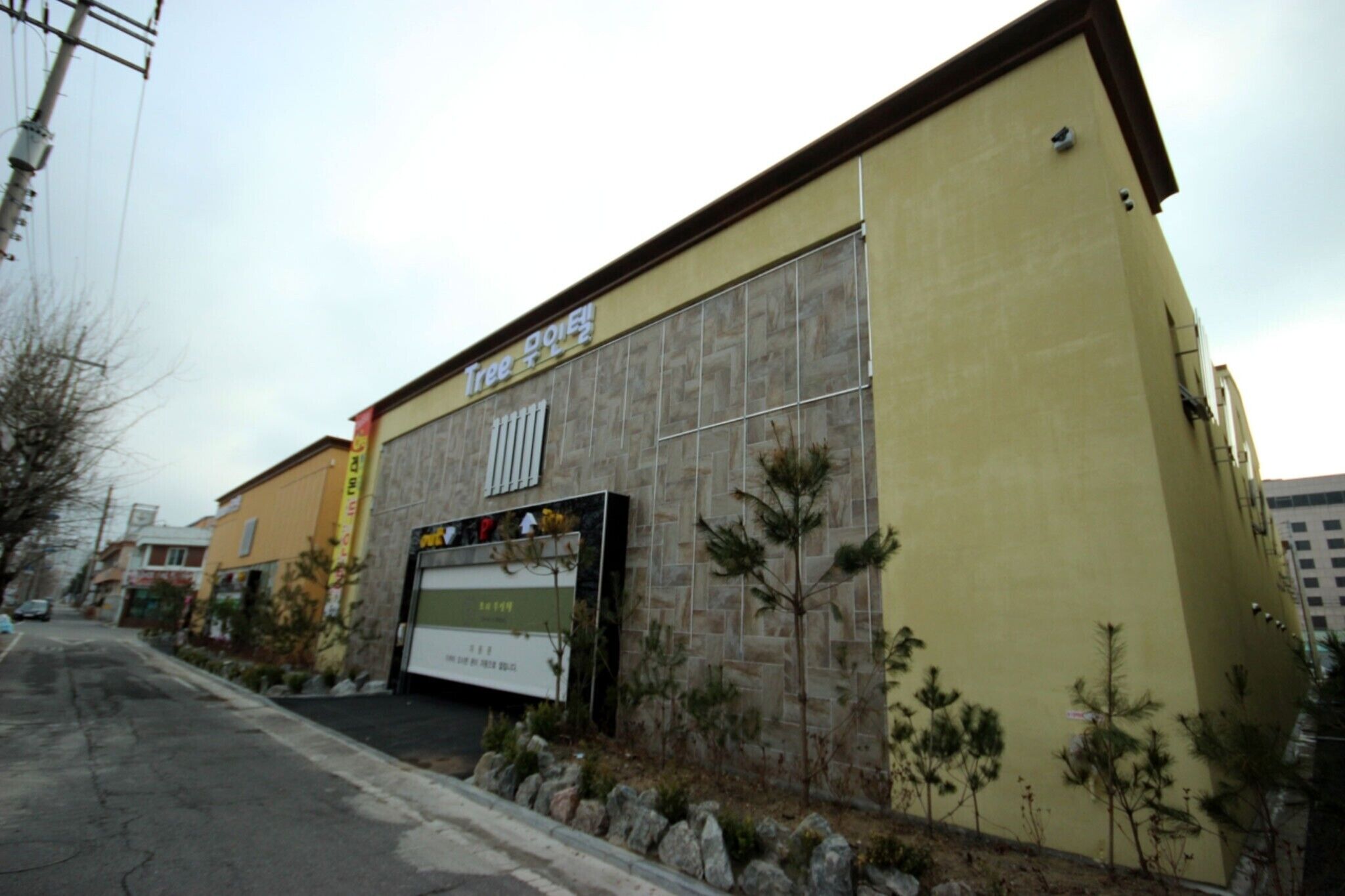 Gunsan Lemon Tree