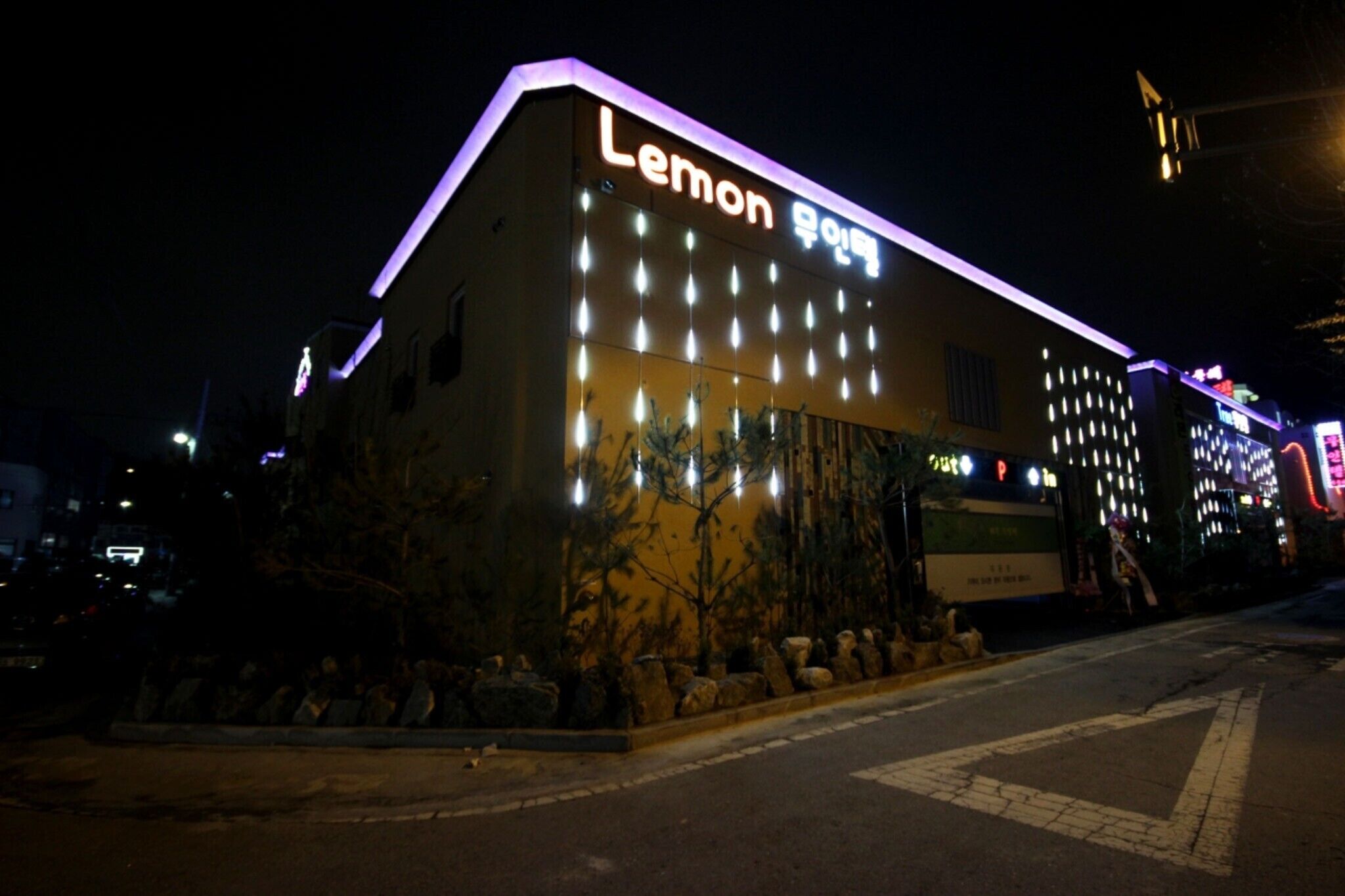 Gunsan Lemon Tree
