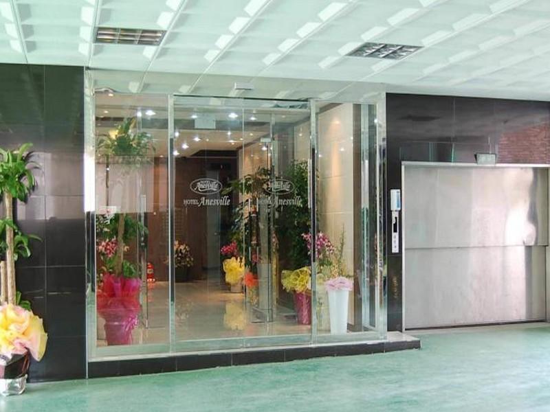 Hotel Anesville