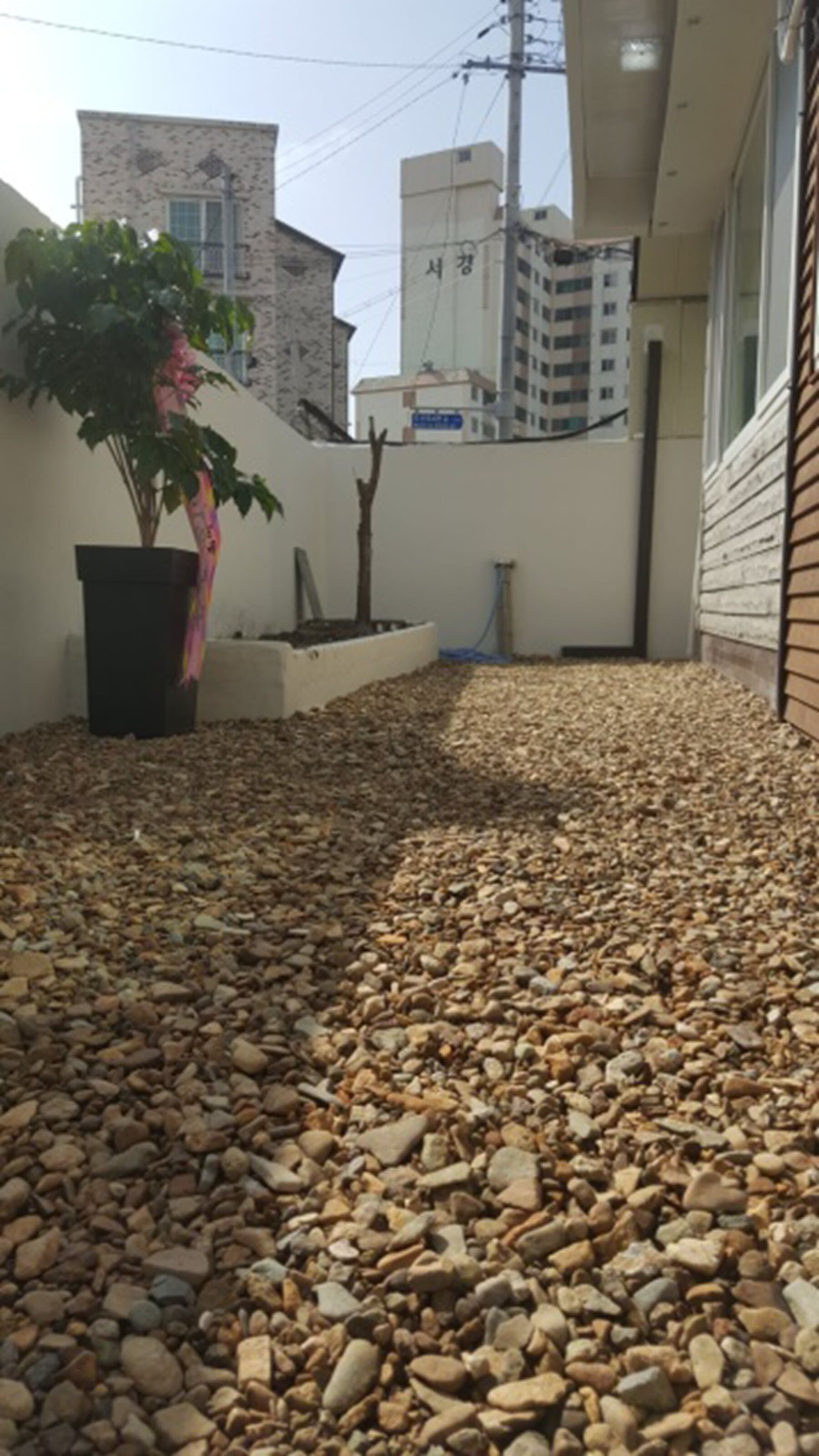 Joa Guesthouse - Hostel