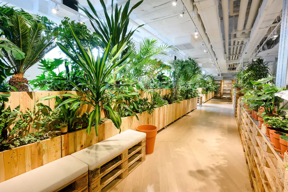 Golden Tulip Haeundae Hotel & Suites