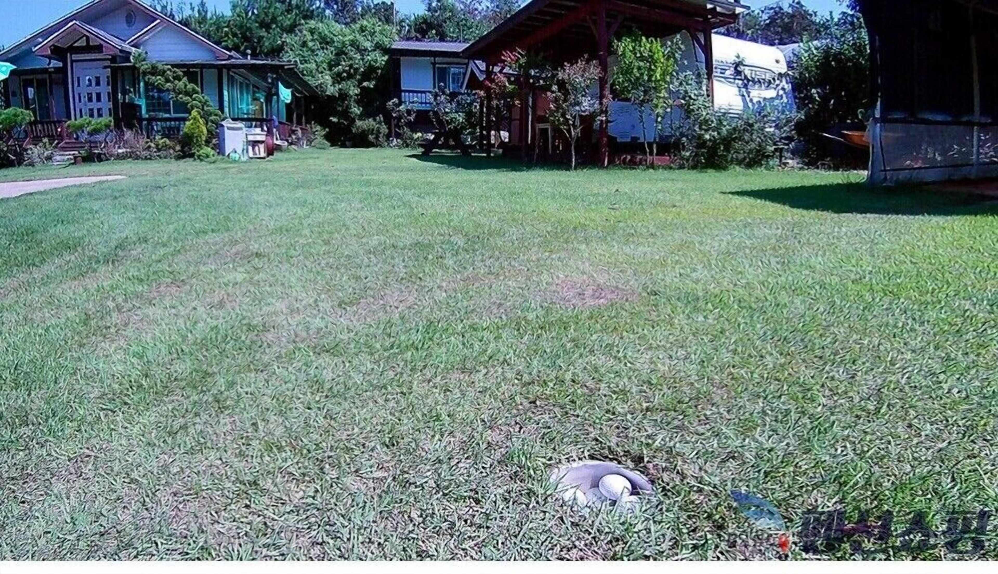 10 Ripo Yeonga Pension