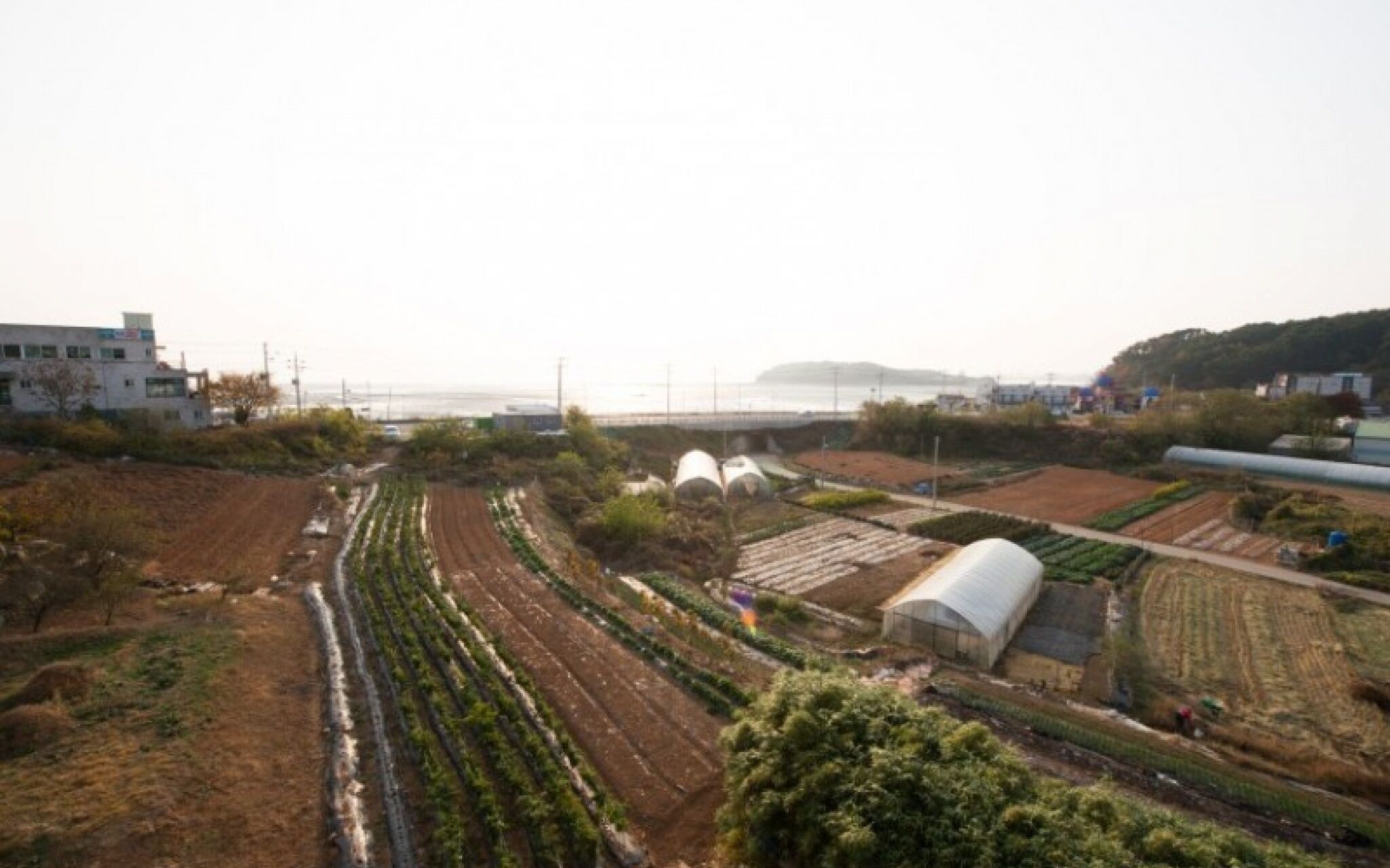 Daebudo Daldal Pension