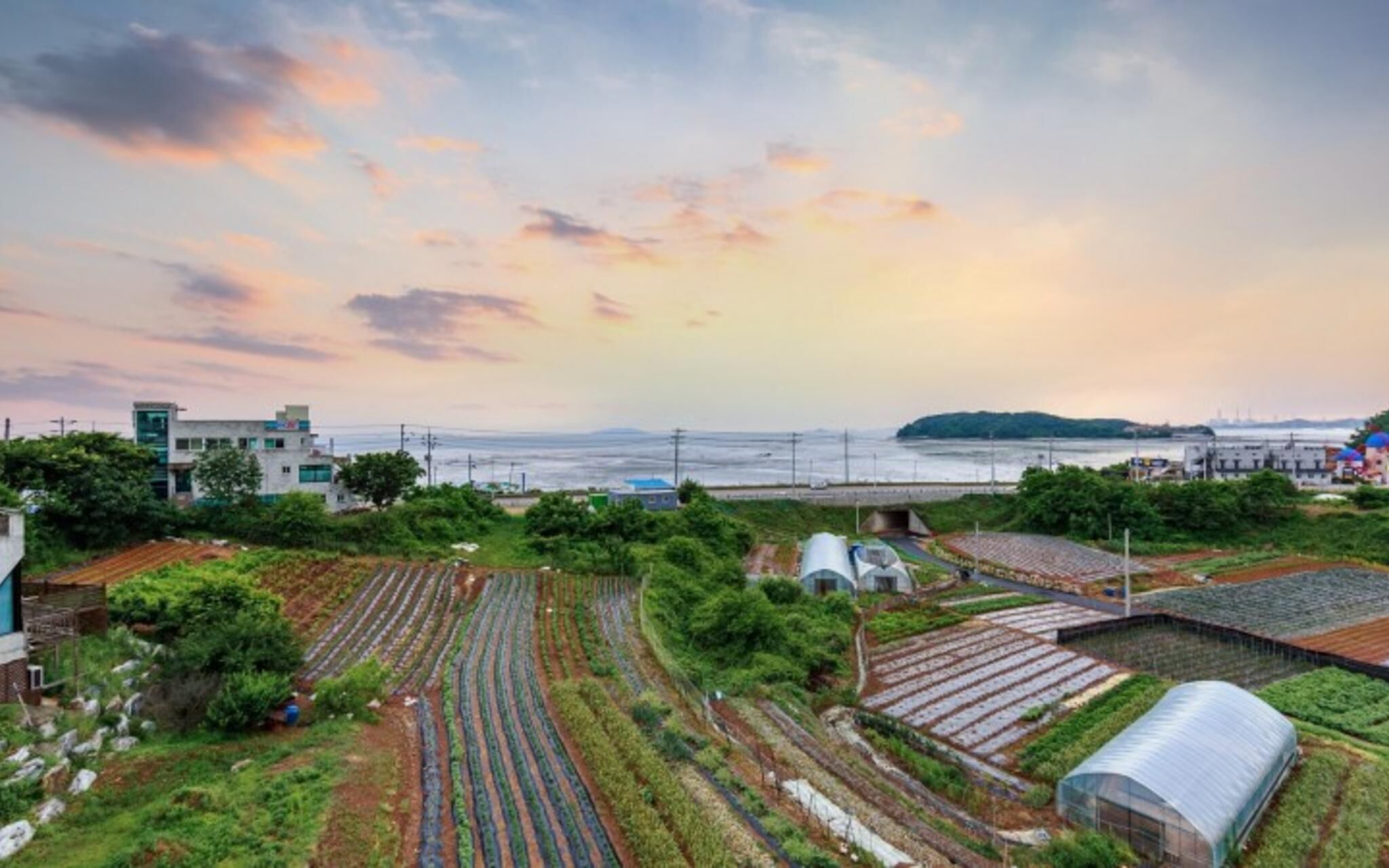 Daebudo Hyangginaneun Pension