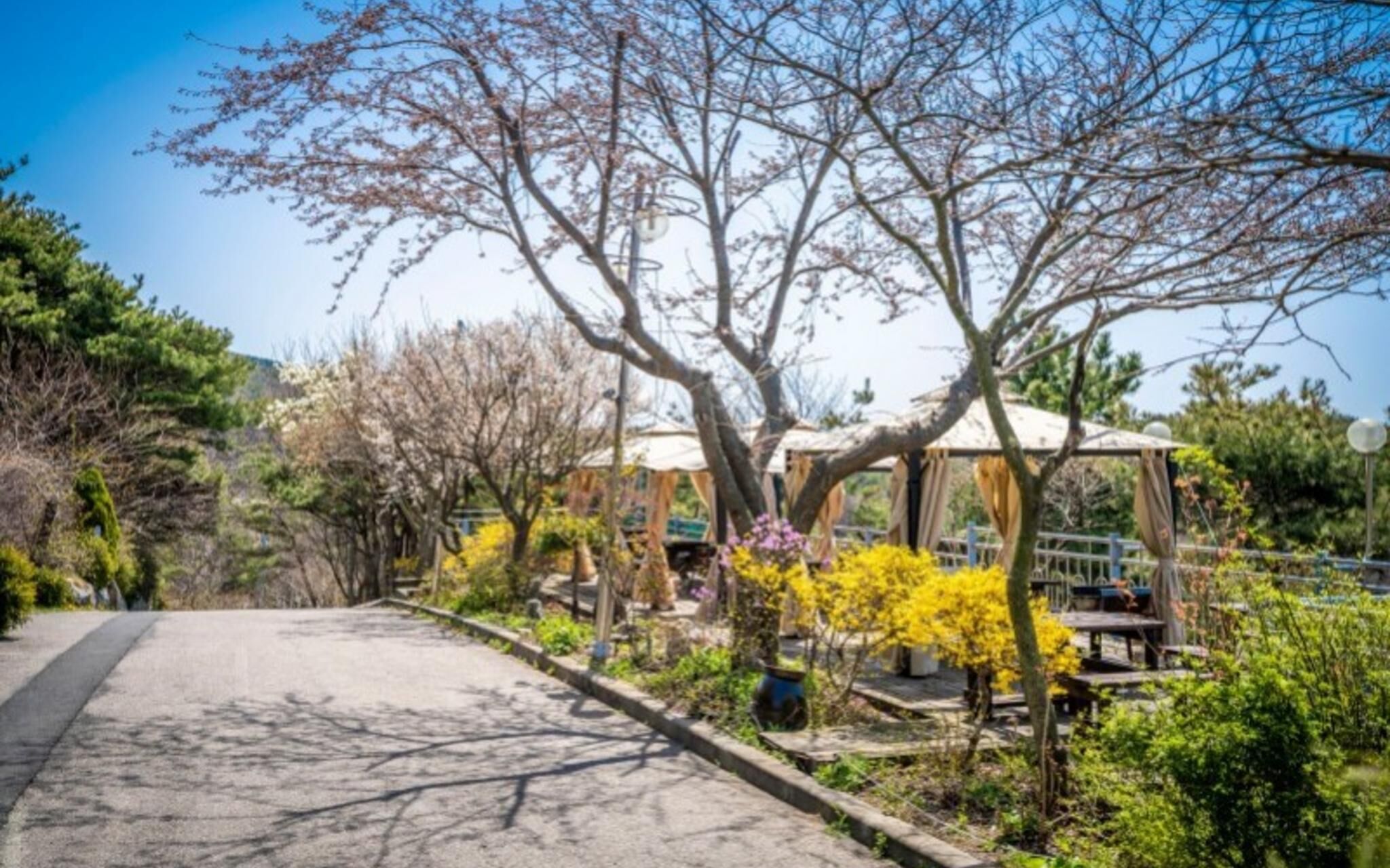 Daebudo Noeul And Bada Pension