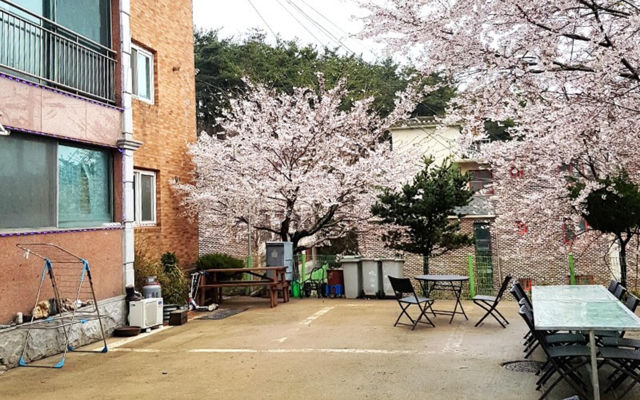 Daebudo Supsok Pension