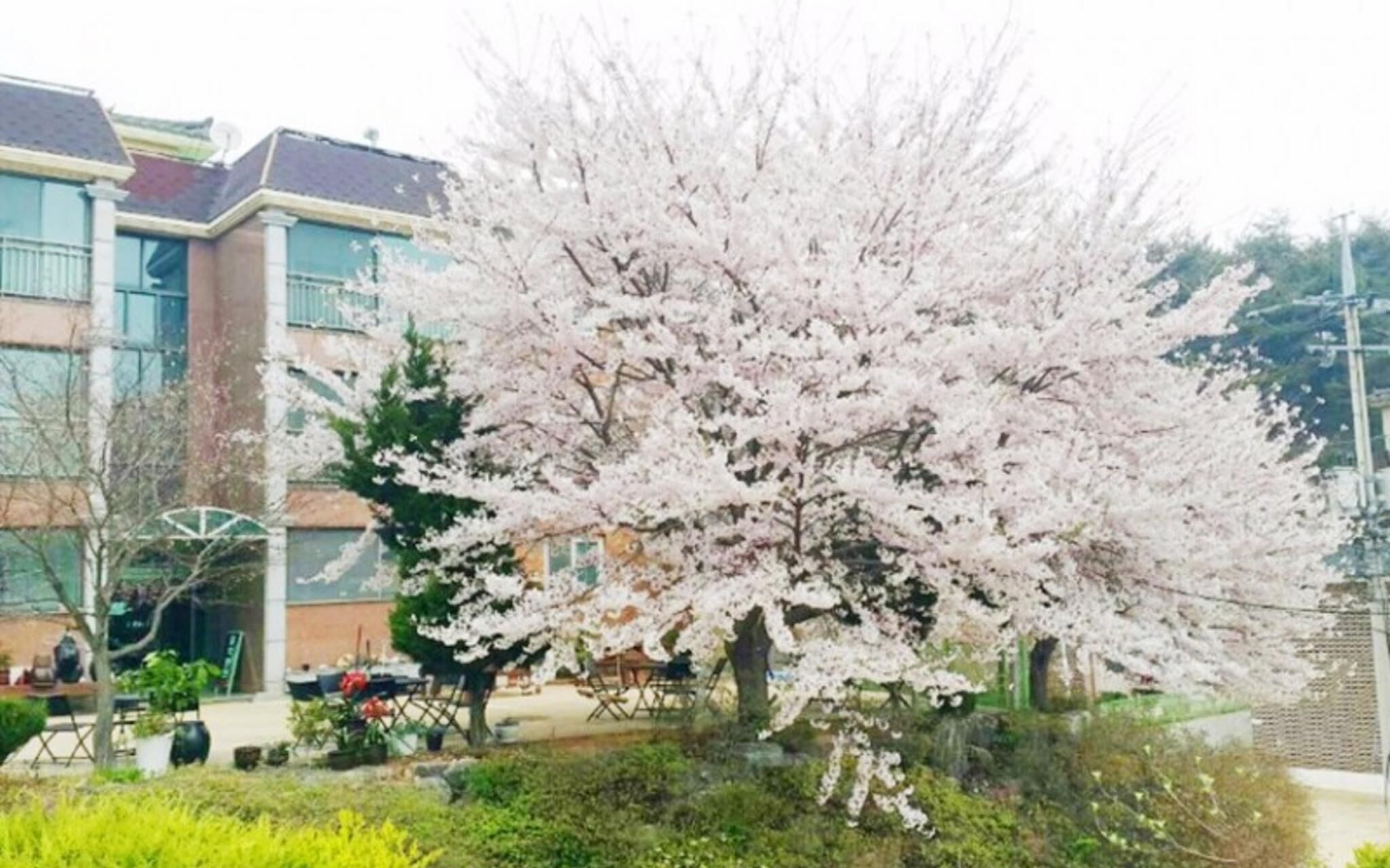 Daebudo Supsok Pension