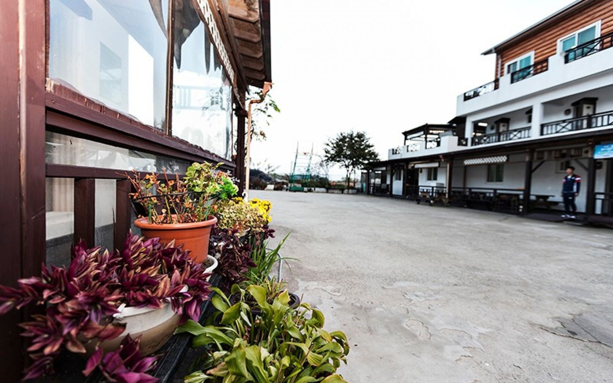 Eulwangri Byeoljari Pension