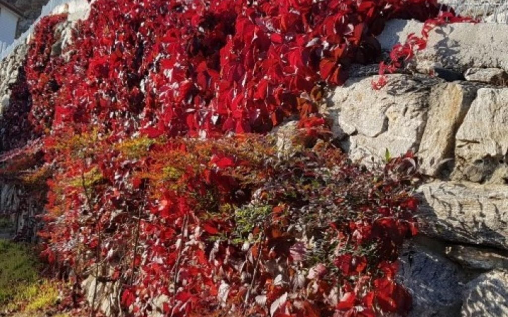 Ganghwado Gold View Pension