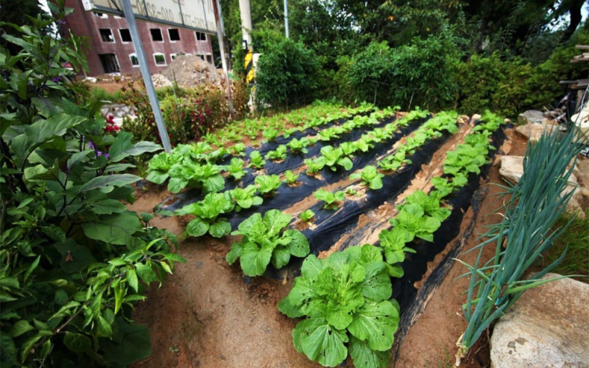 Ganghwado Manisan Pension