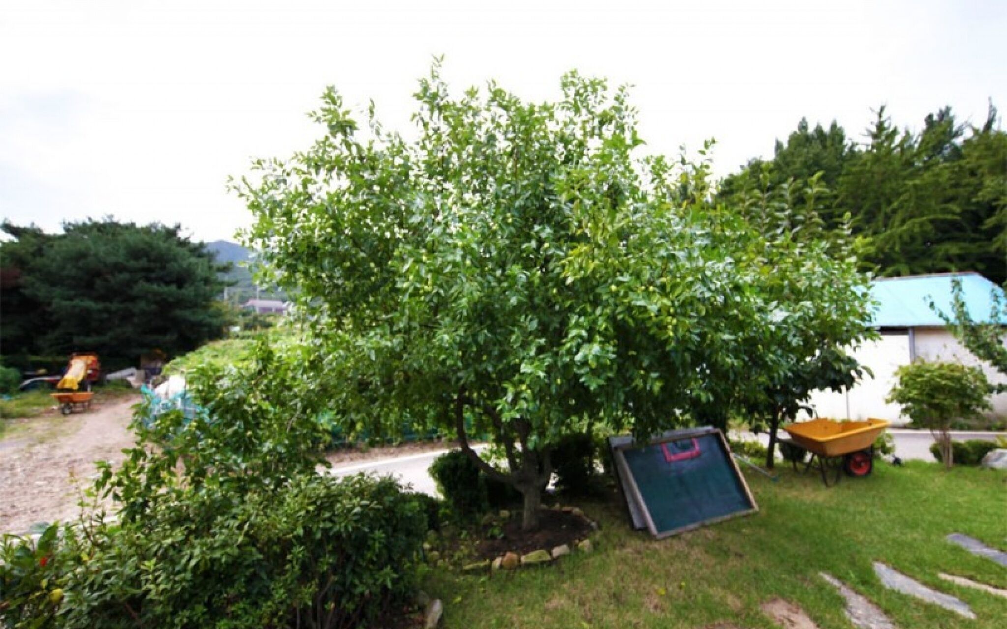 Ganghwado Manisan Pension