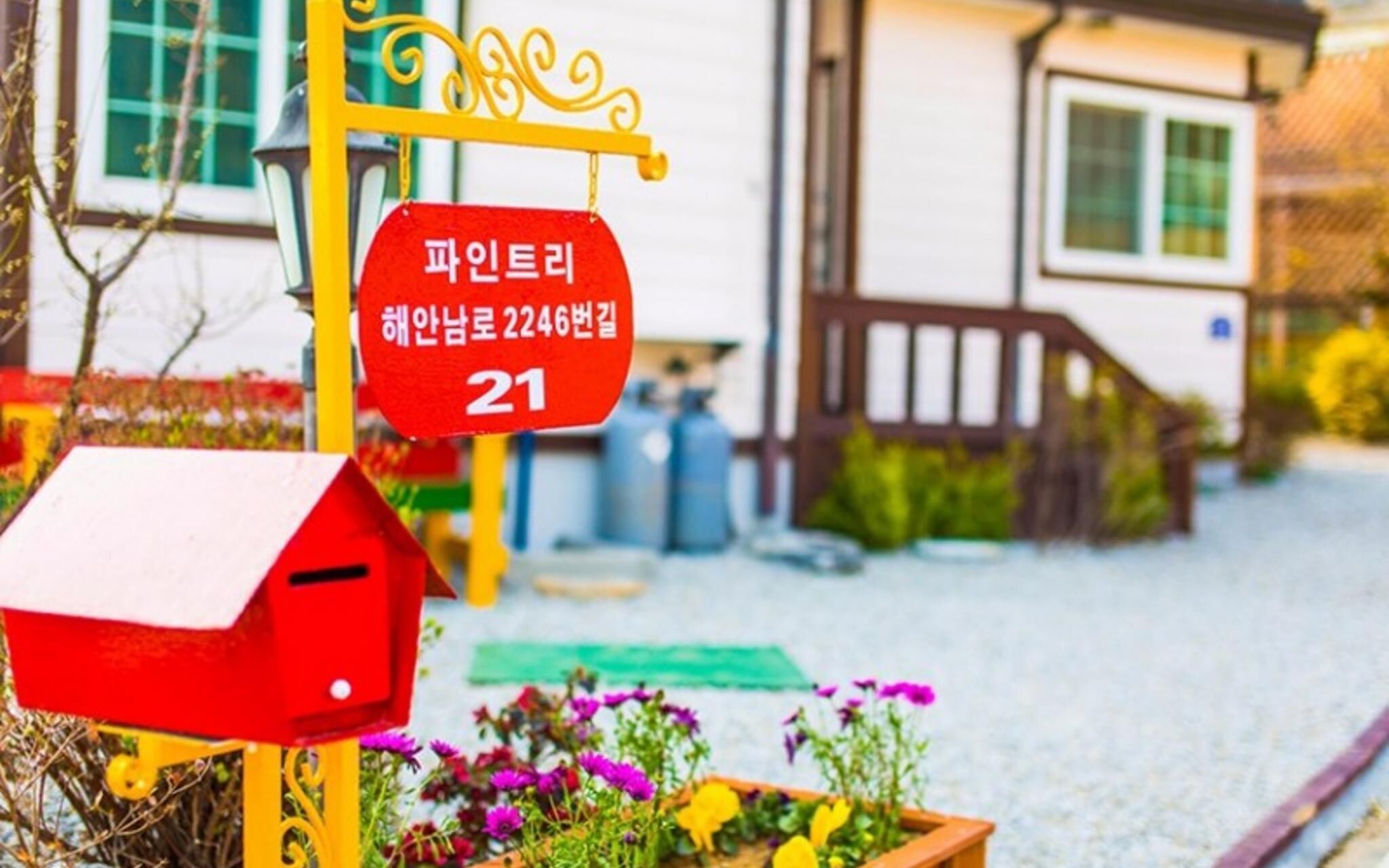 Ganghwado Pine Tree Pension