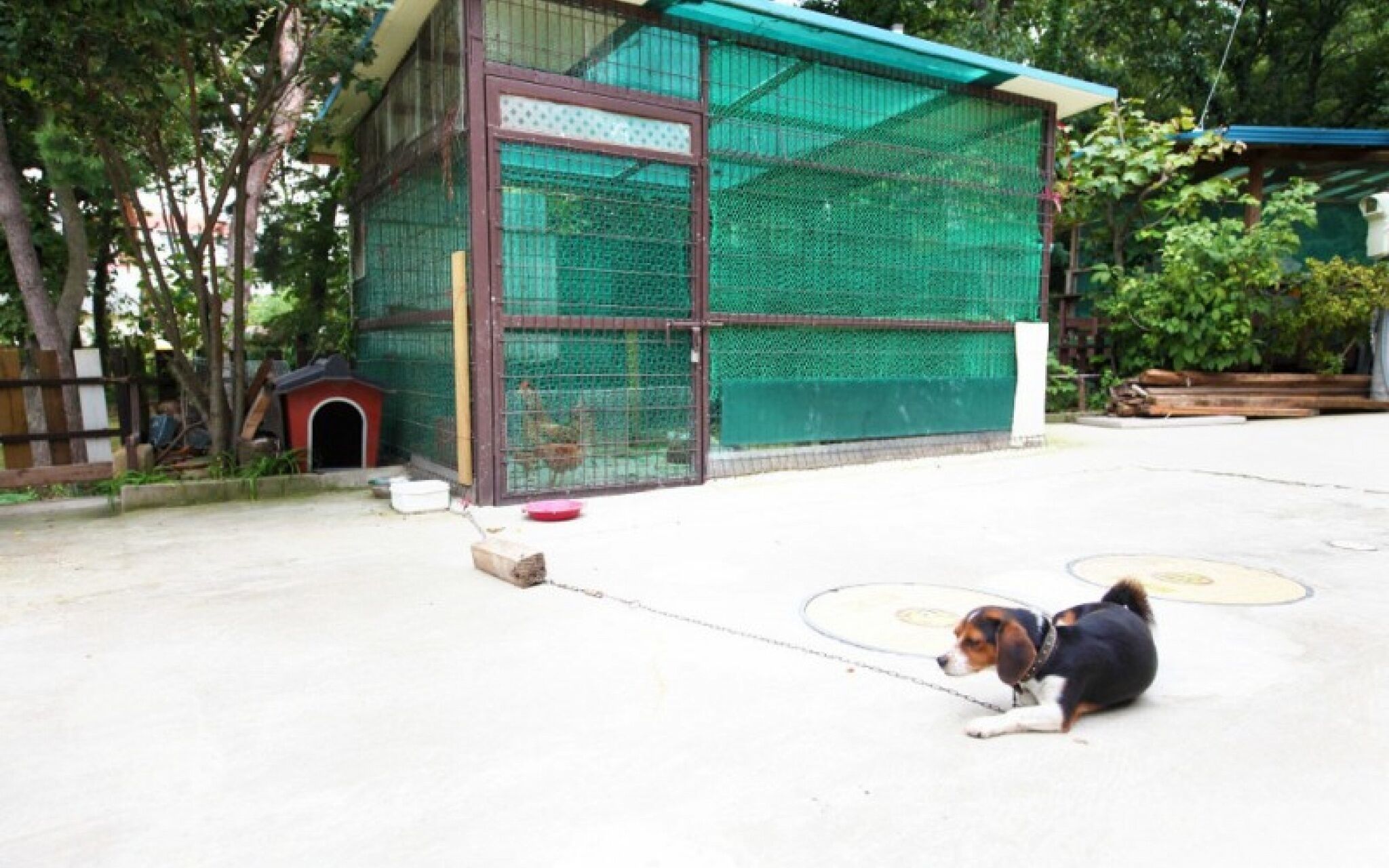 Ganghwado Star Pension