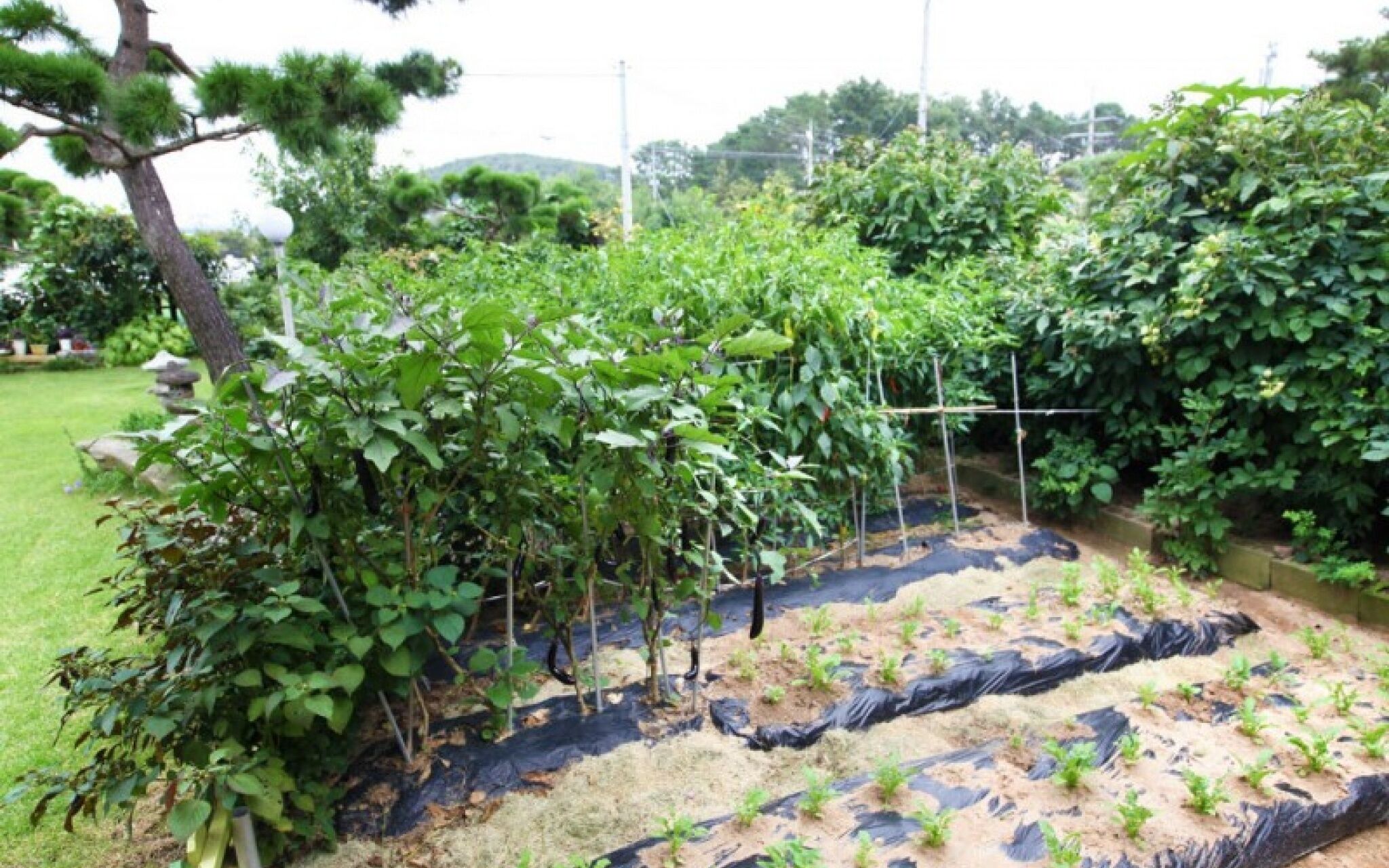 Ganghwado Star Pension