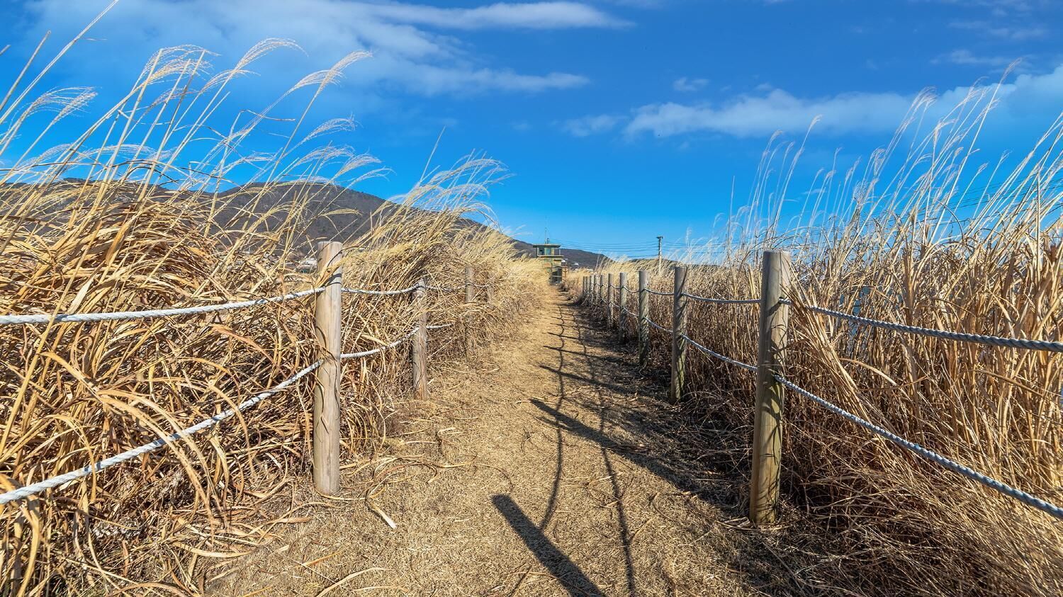 Ganghwa The Starspa Pension