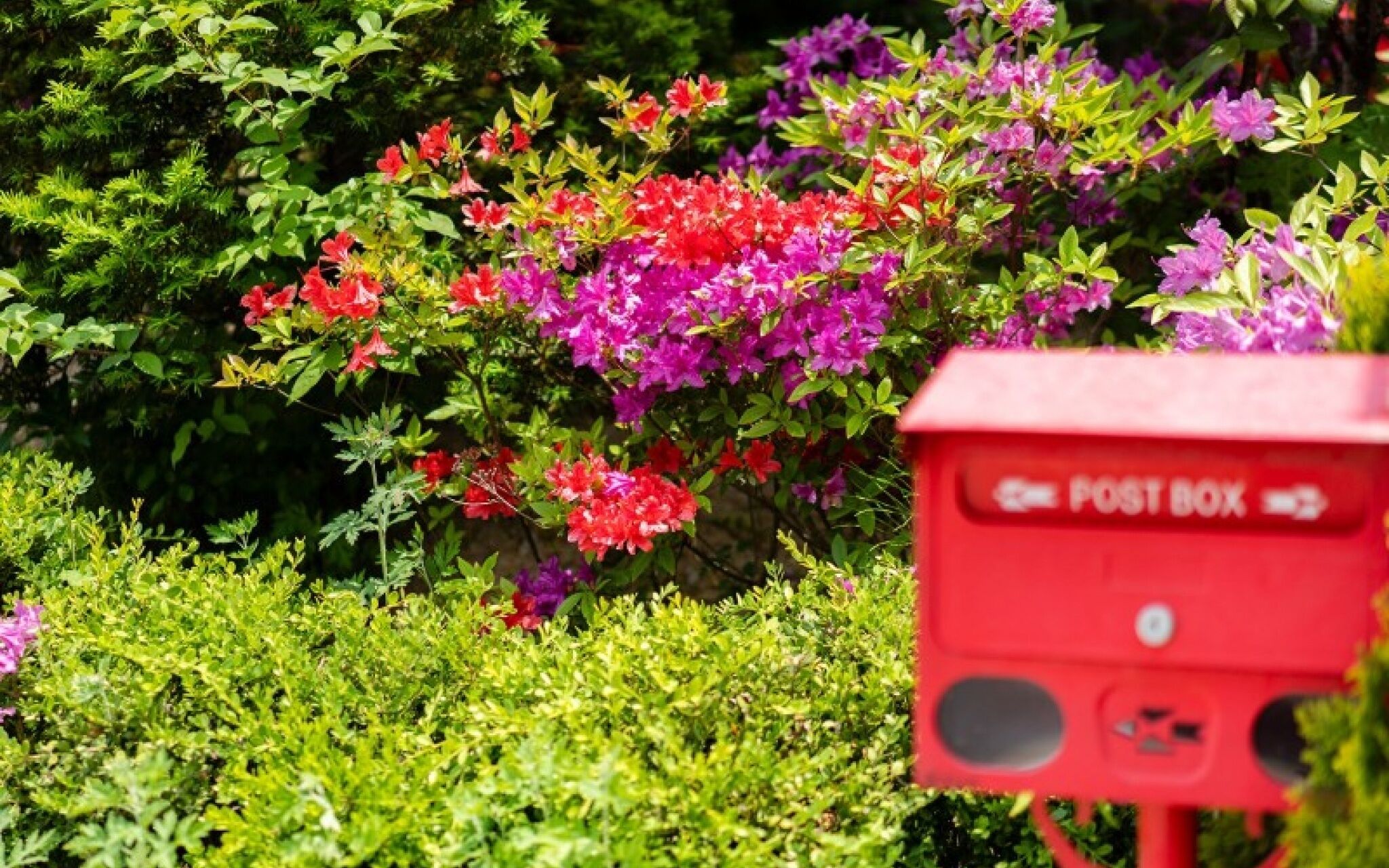 Ganghwa White Stone Pension