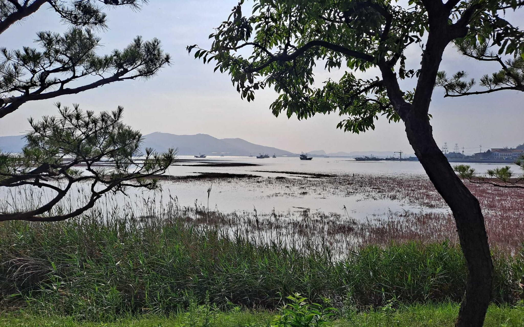 Incheon W