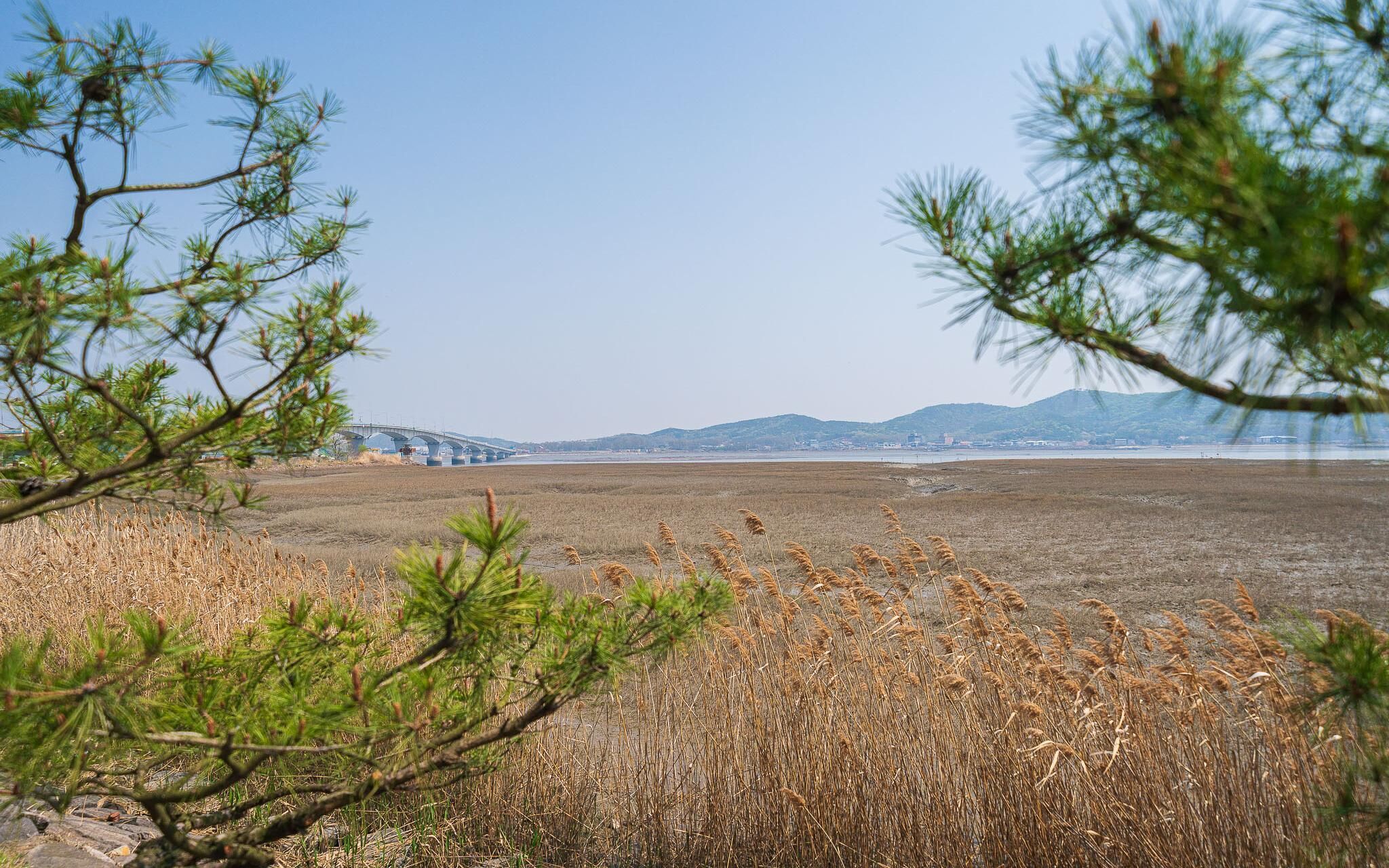 Incheon W