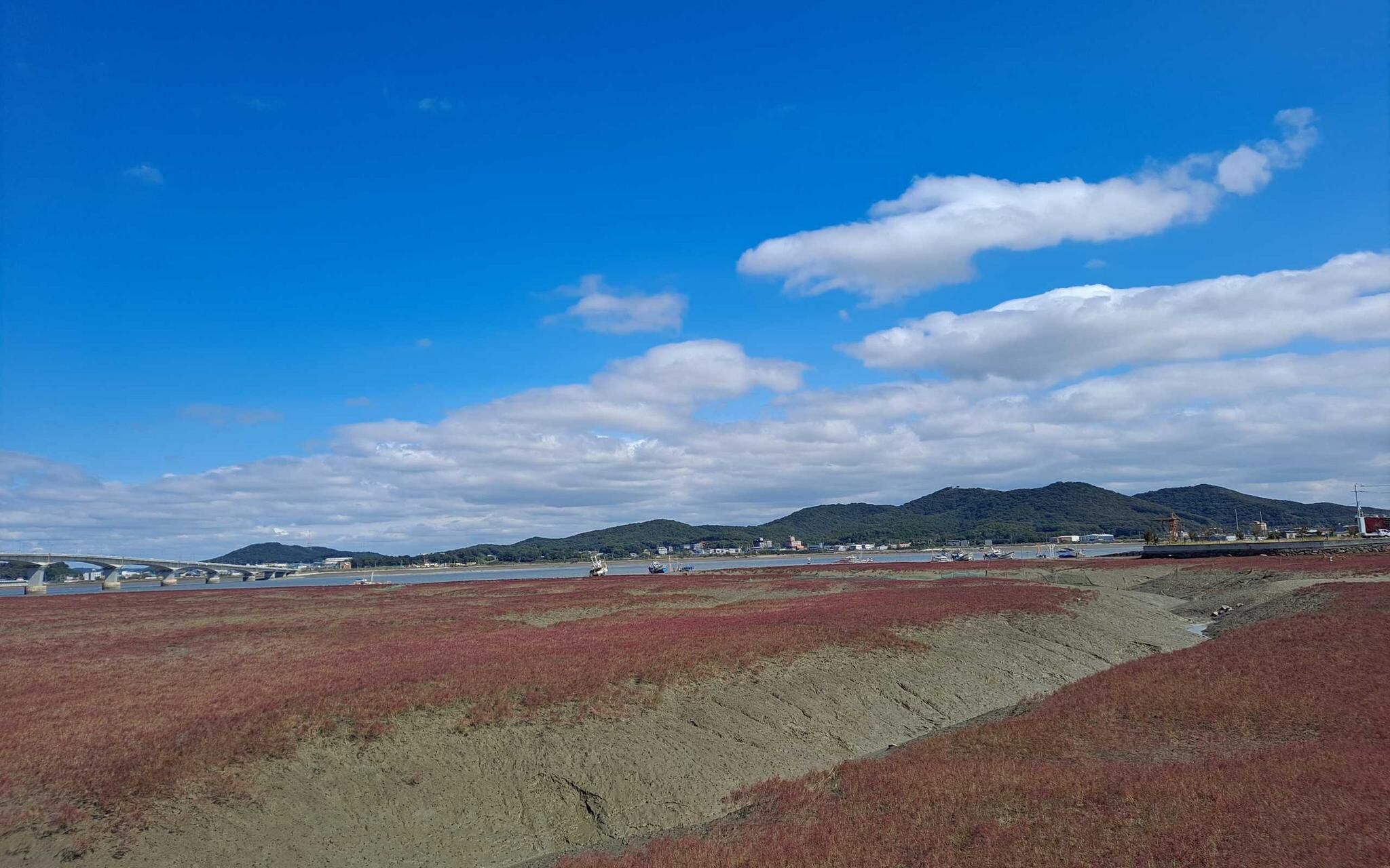 Incheon W