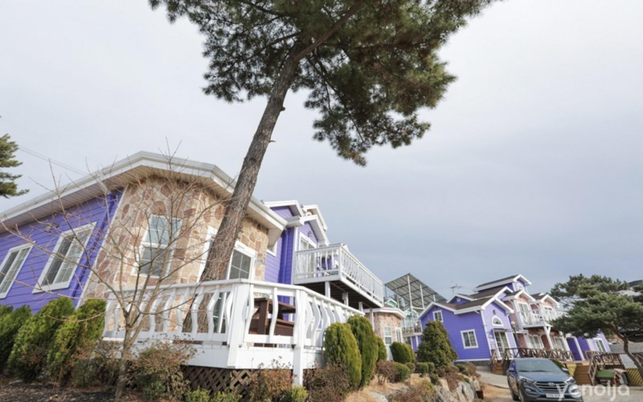 Seonjedo Iris Pension