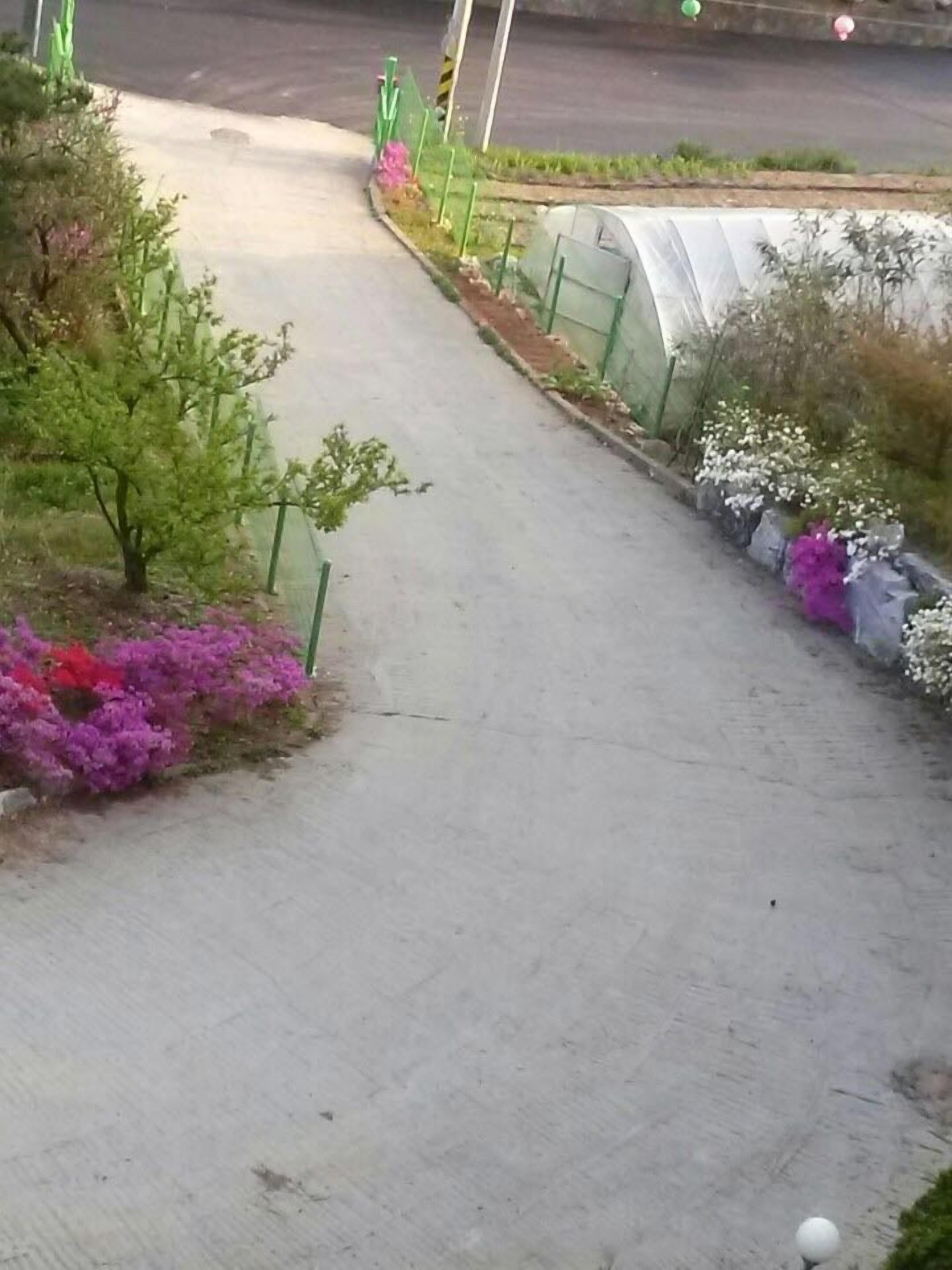 Sunshine Garden Pension