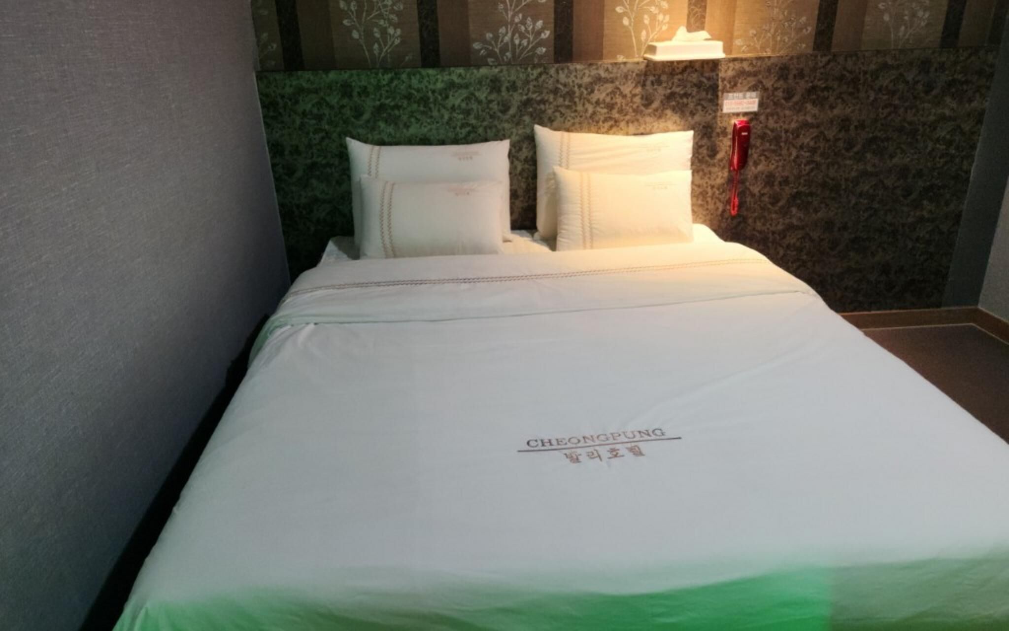 Jecheon Cheongpung Bali Hotel