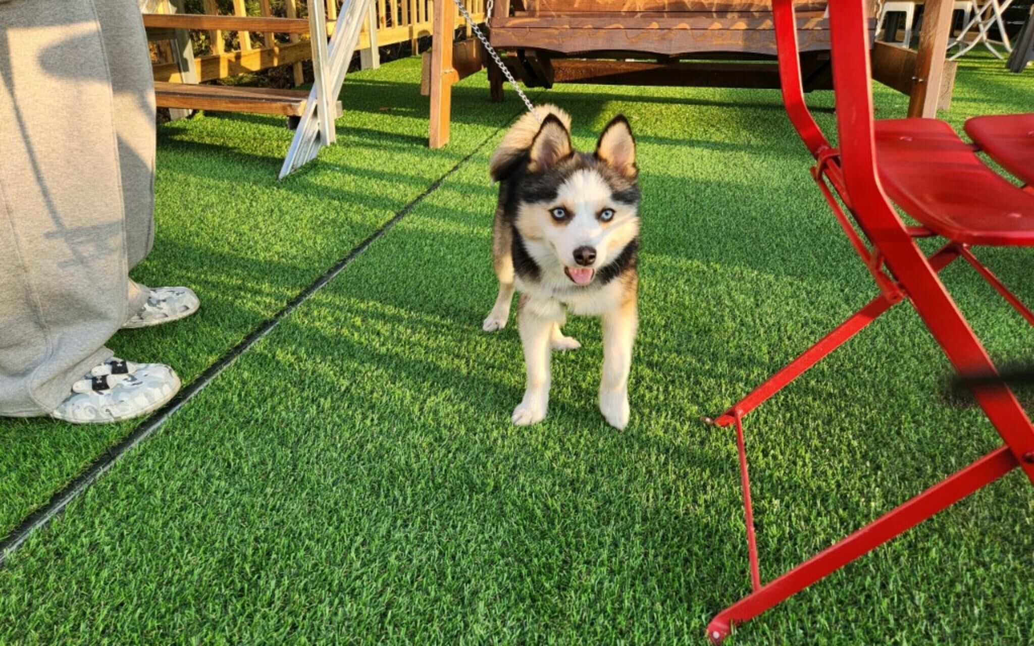 Jecheon Cheongpung Bali Hotel