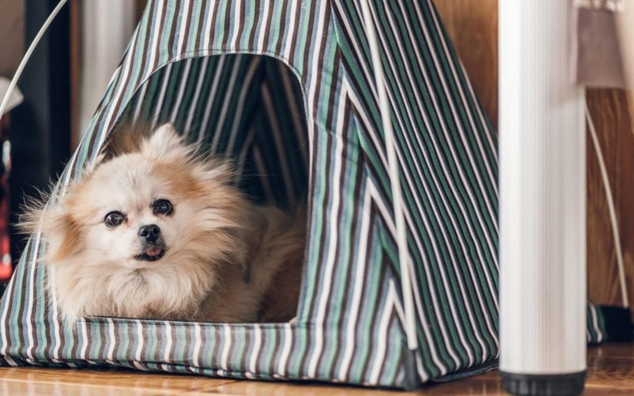 Jecheon De Tours Camp Club