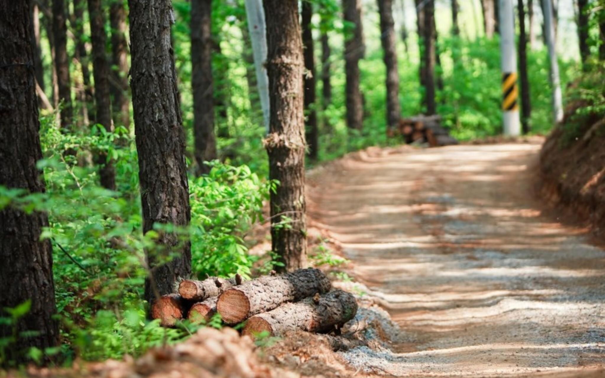 Jecheon De Tours Camp Club