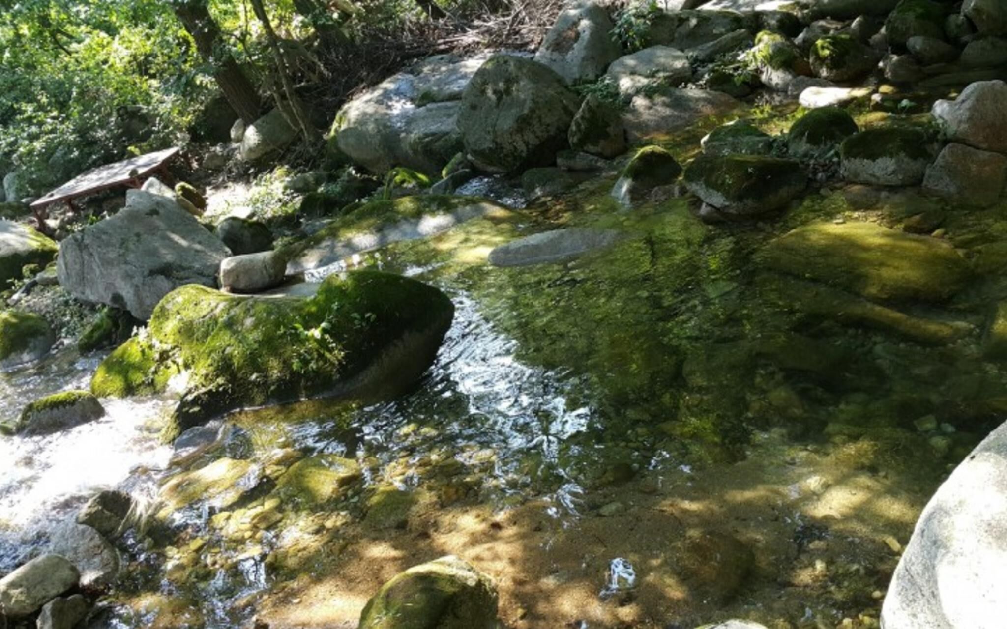 Jecheon Hakyeon Healing Pension