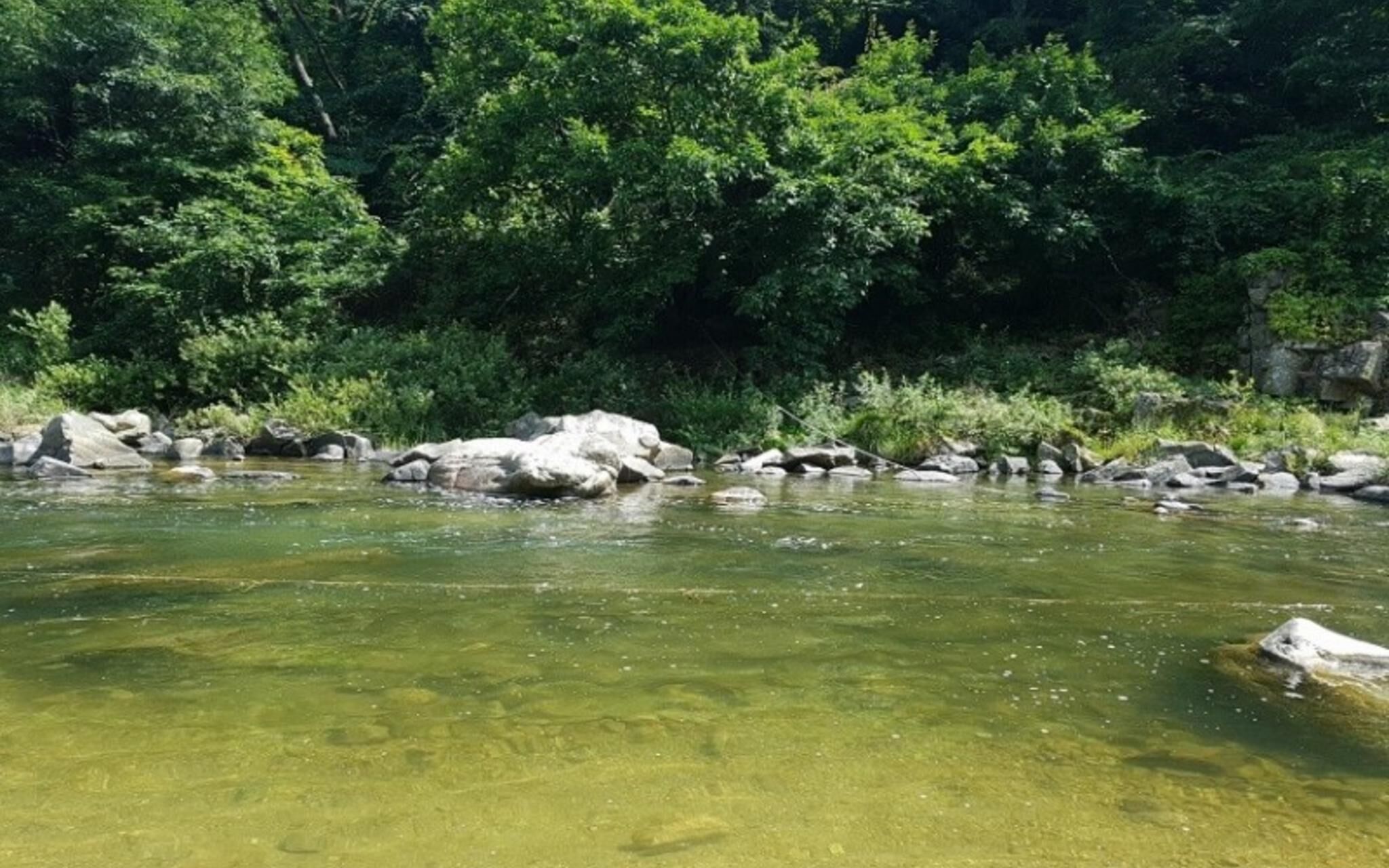 Jecheon Healing Pension