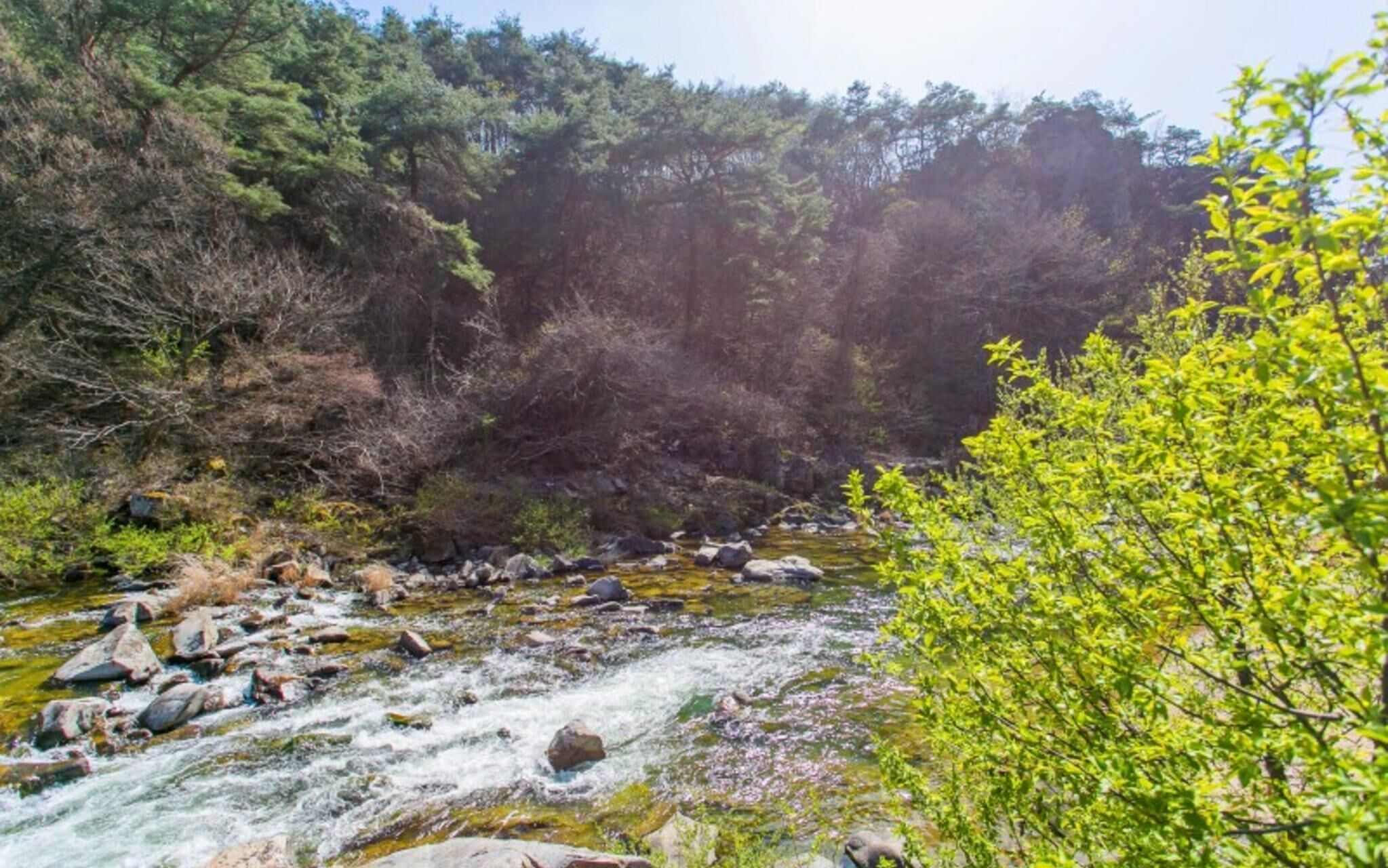 Jecheon Healing Pension