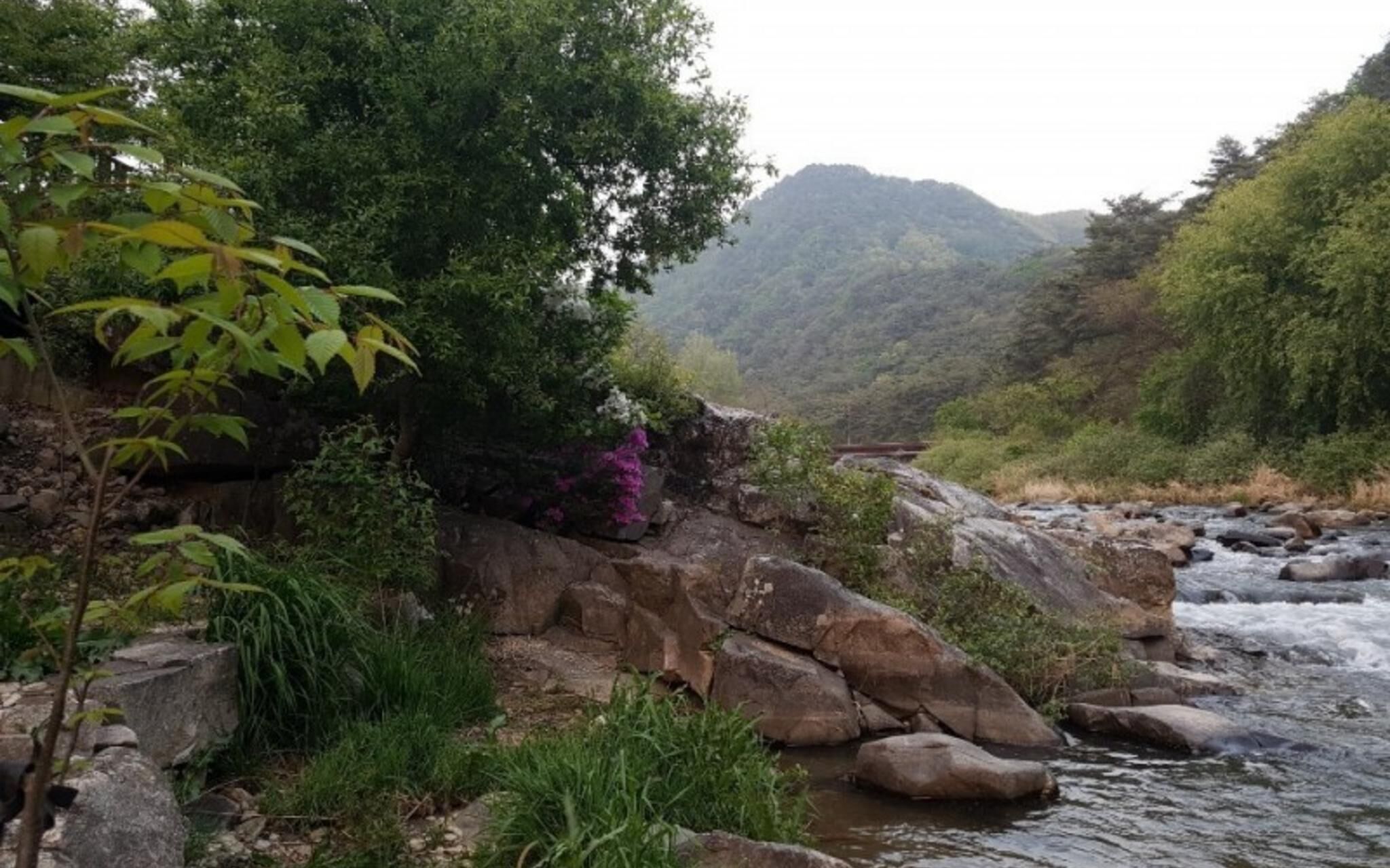 Jecheon Healing Pension