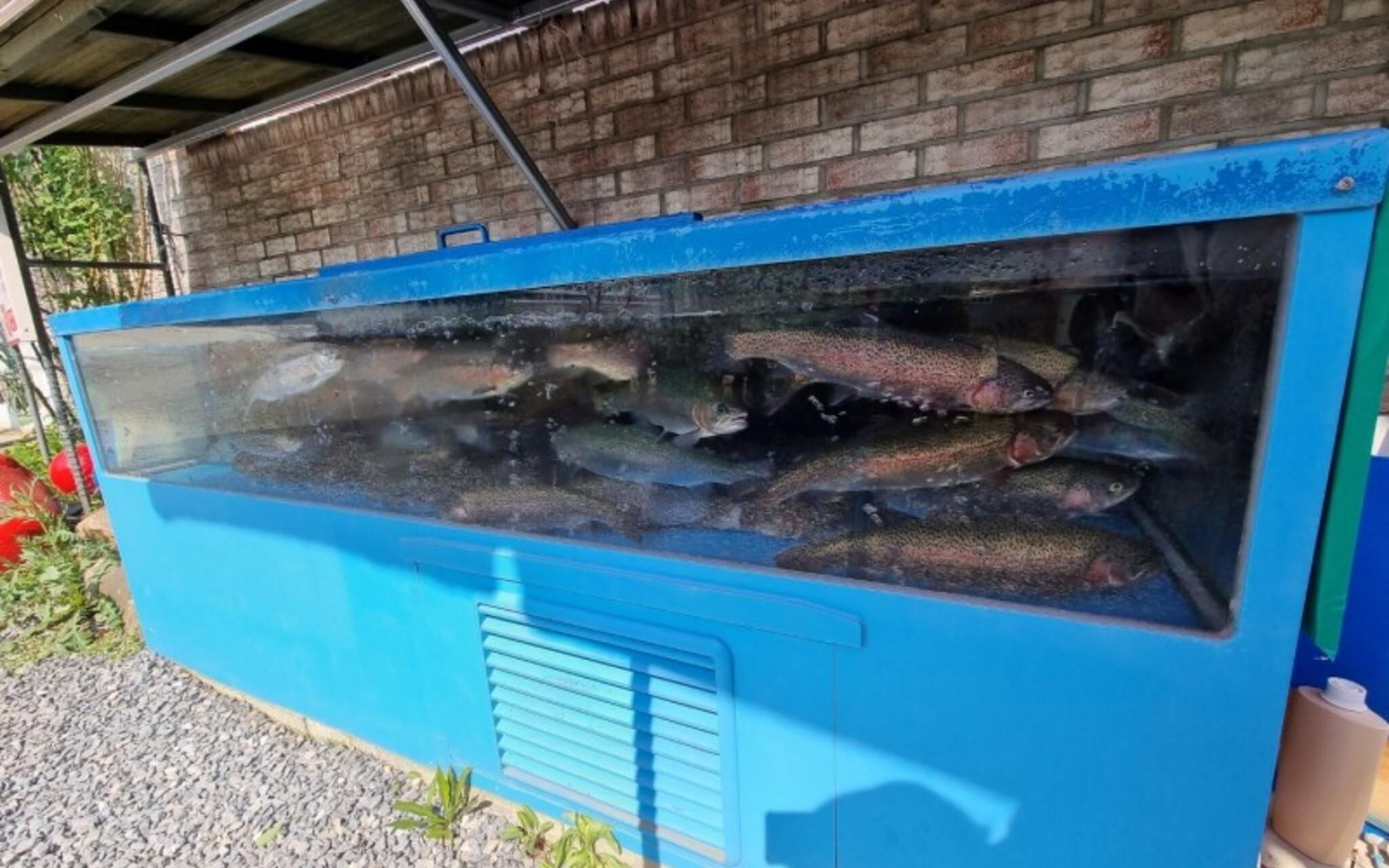 Jecheon Healing Pension