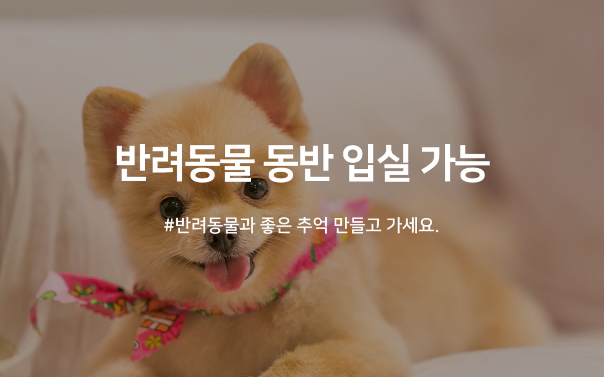 Jecheon K2
