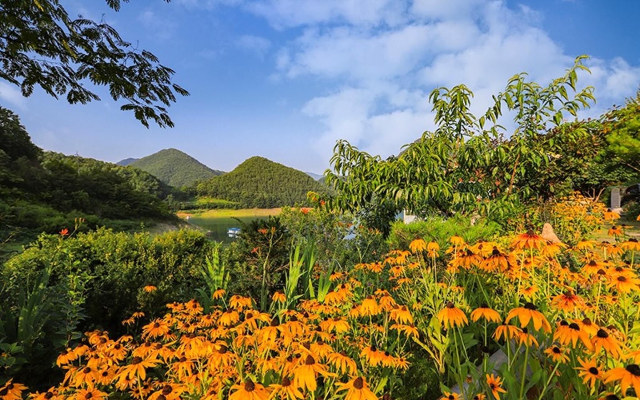 Jecheon Noksuwa Cheongsanuijip Pension