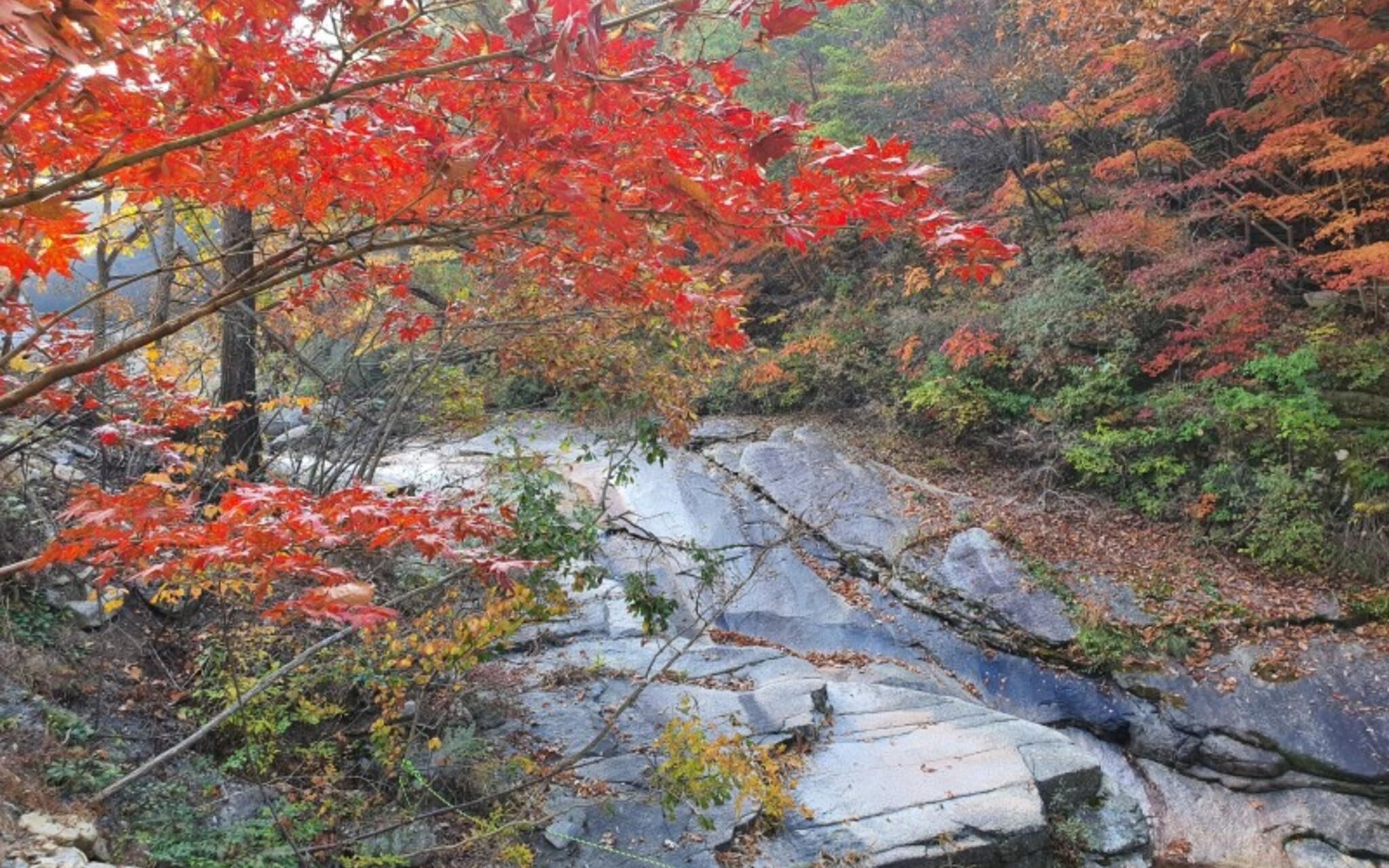Jecheon Provence Pension