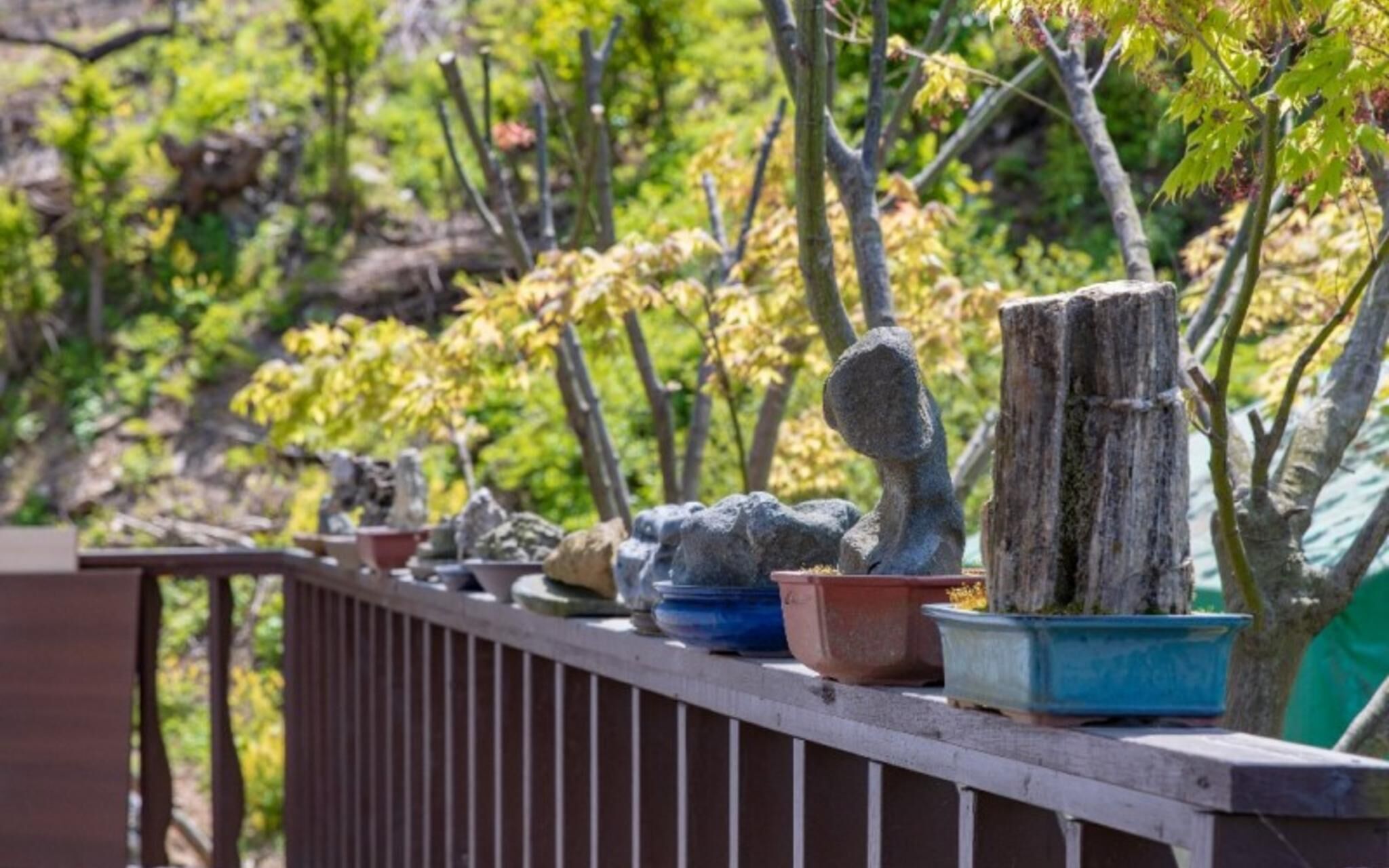 Jecheon Provence Pension
