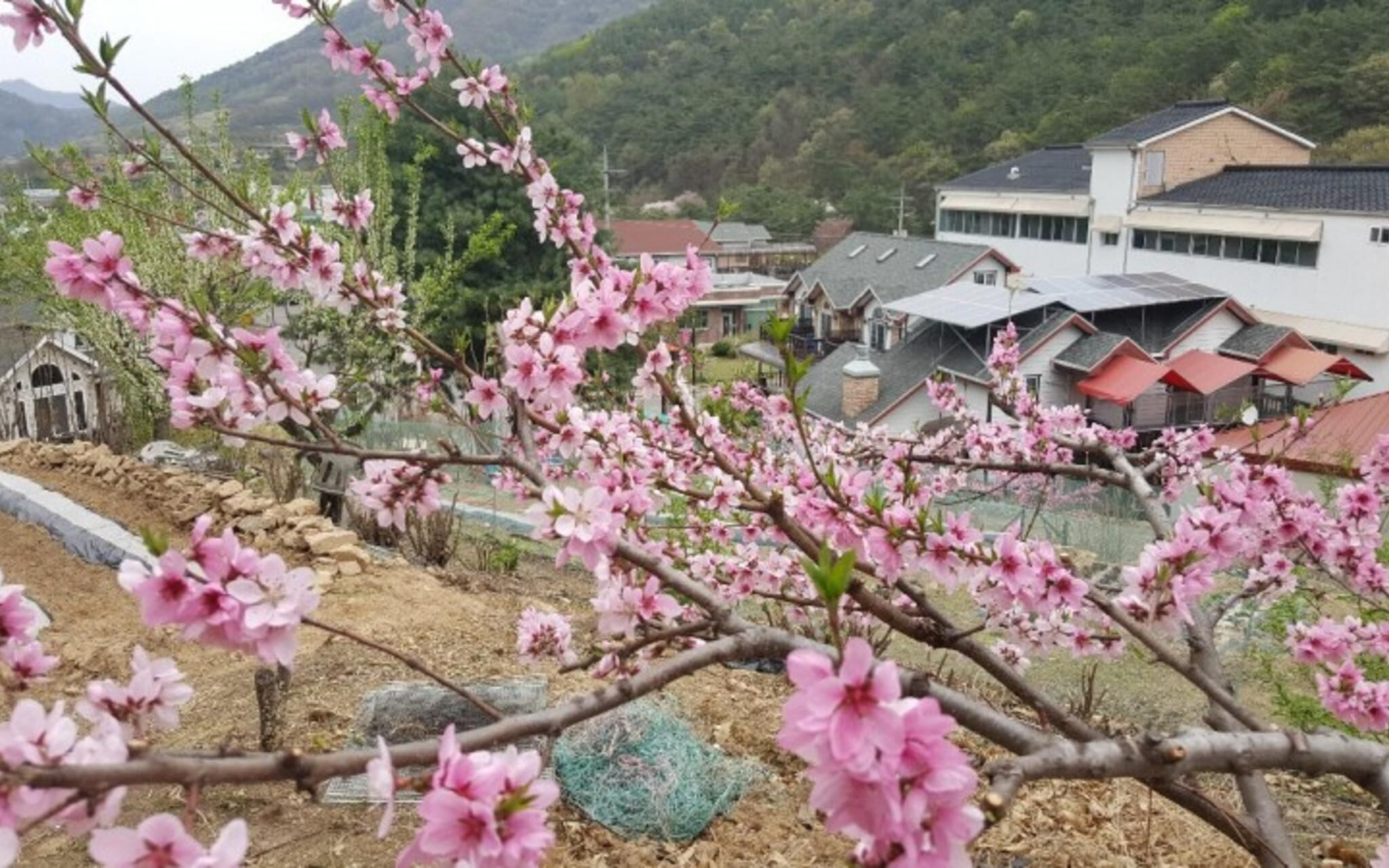 Jecheon Provence Pension