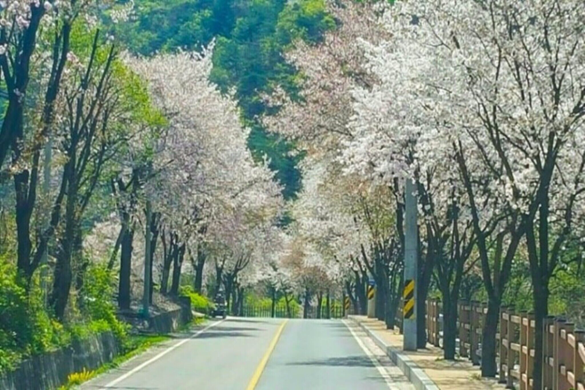 Jecheon Venezia Pension