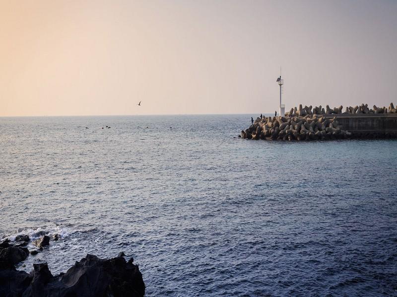 Healing Palace Pension